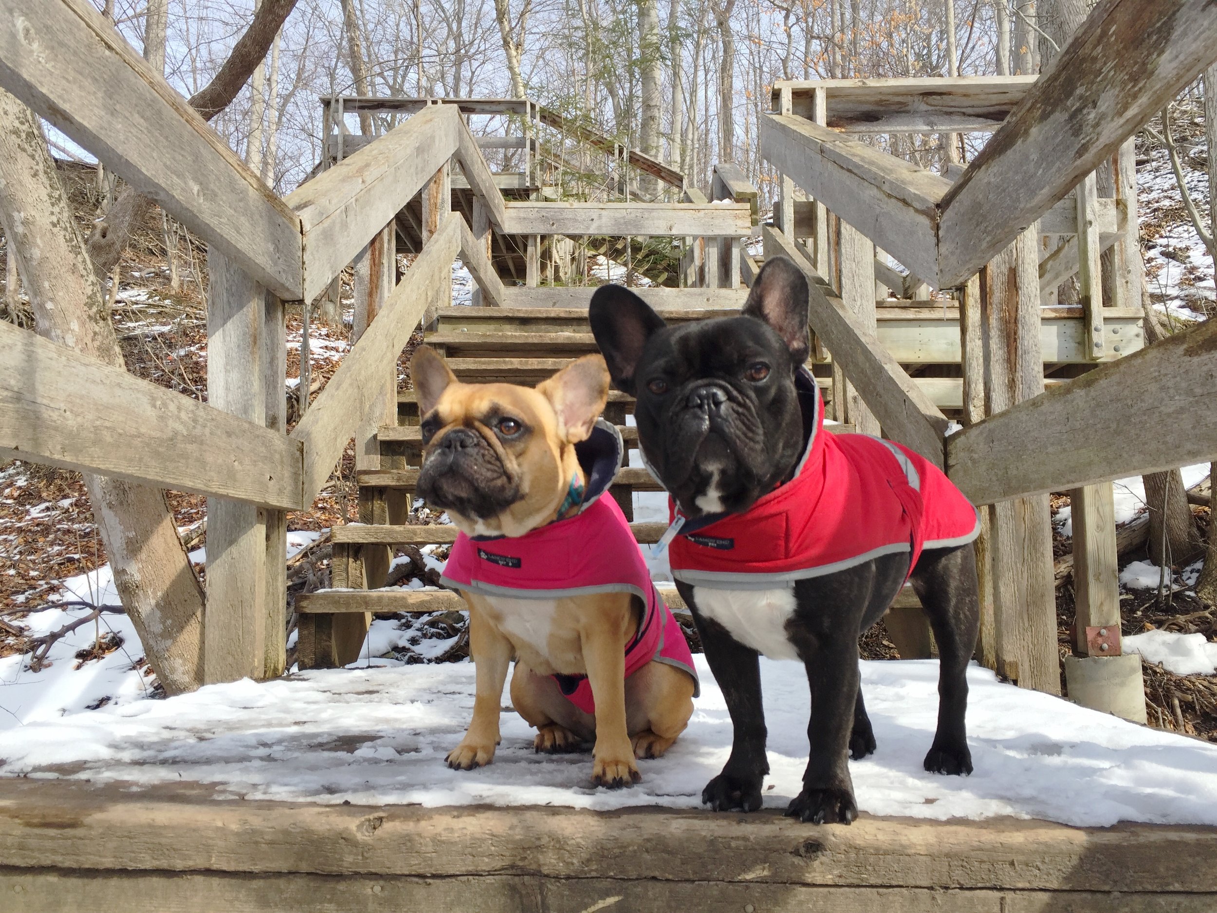 Wednesday Morningtimes (photos and links) 