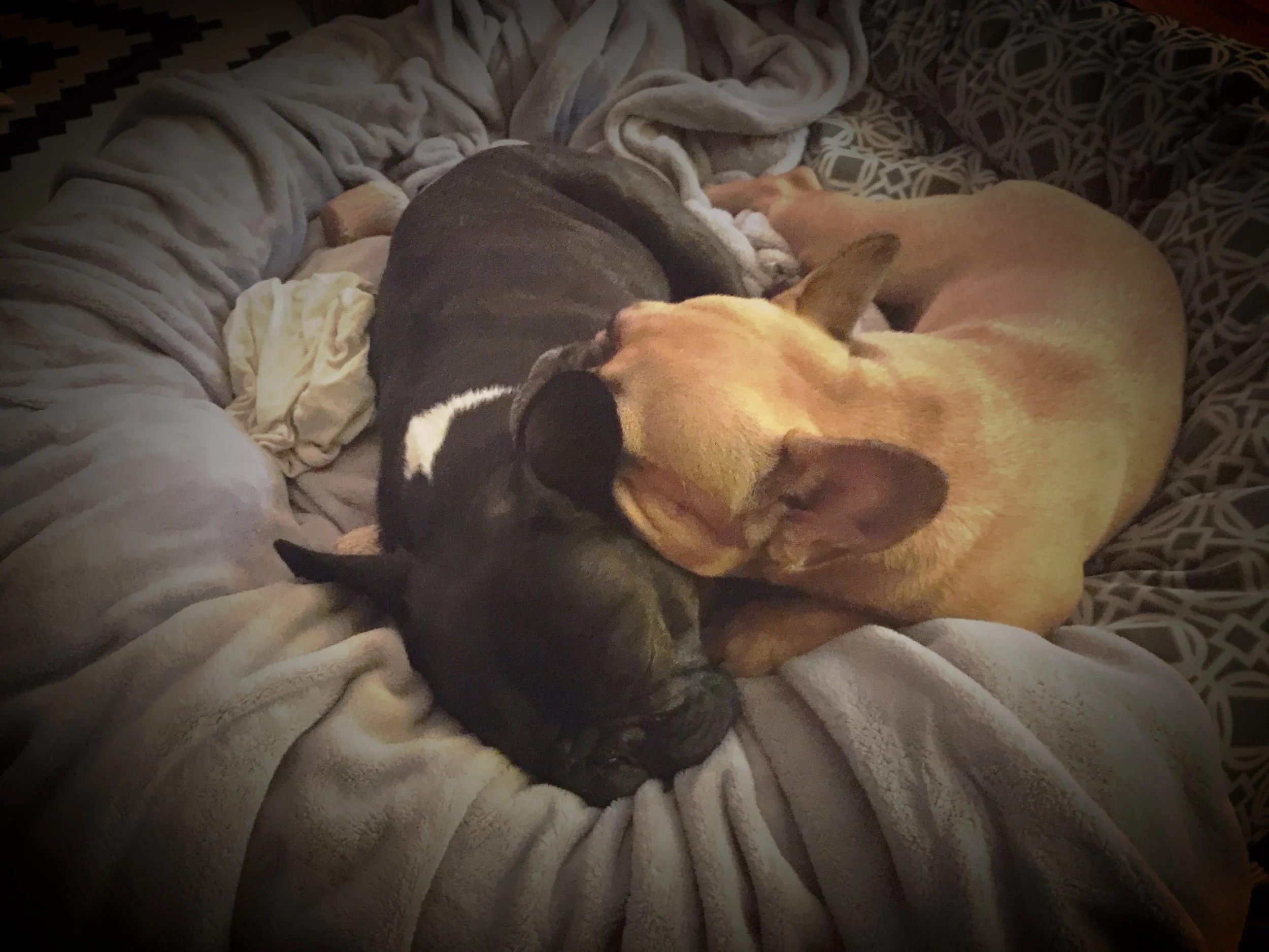 WEDNESDAY NIGHTYNIGHTIMES (3 photos) 