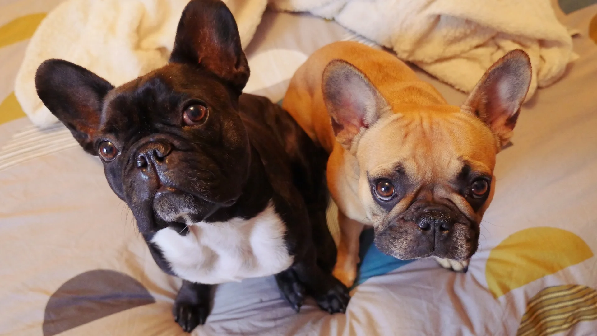 FRIDAY MORNINGTIMES!! (Photos and links) 