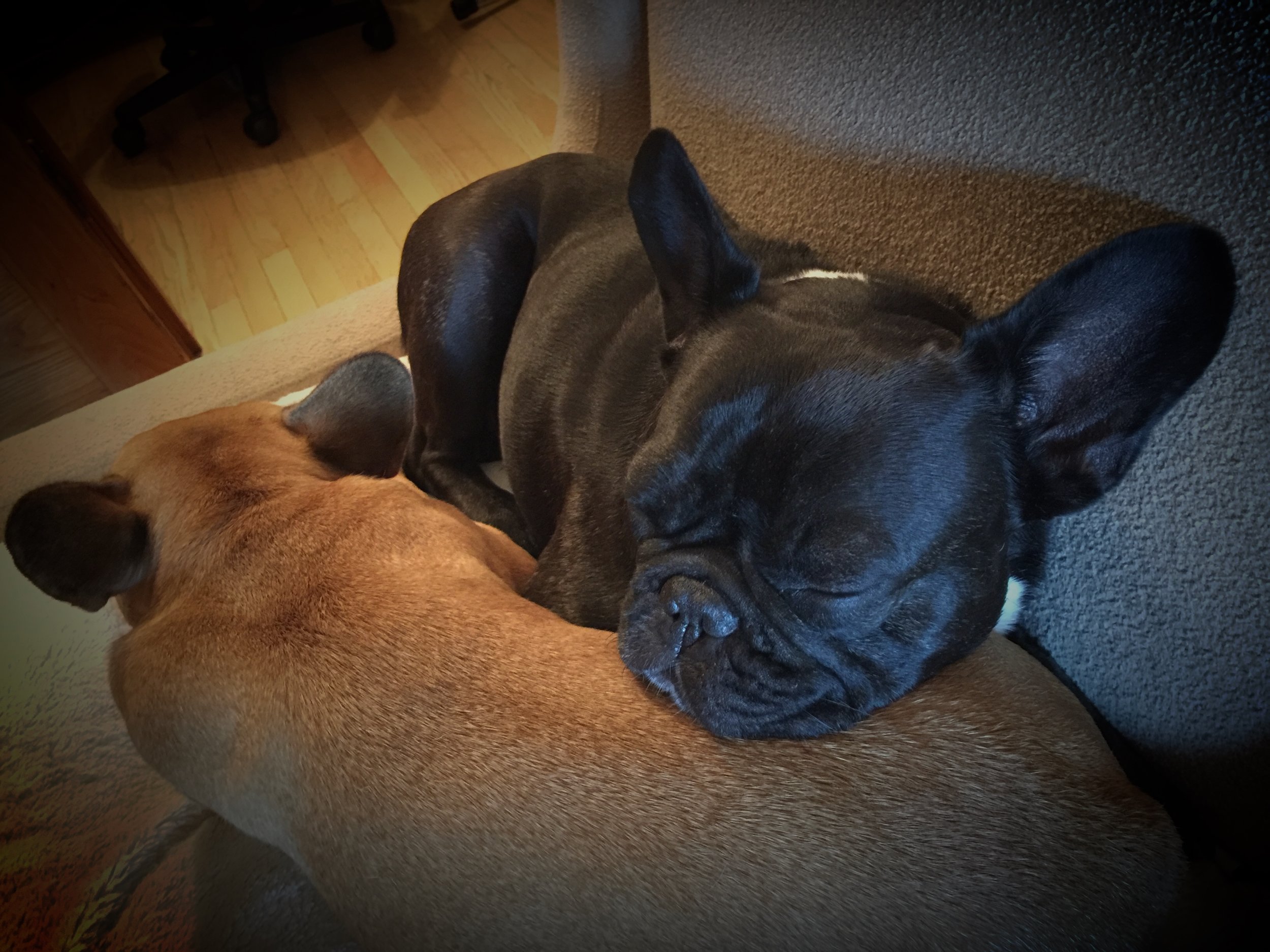 MONDAY NIGHTYNIGHTIMES!! (3 photos) 