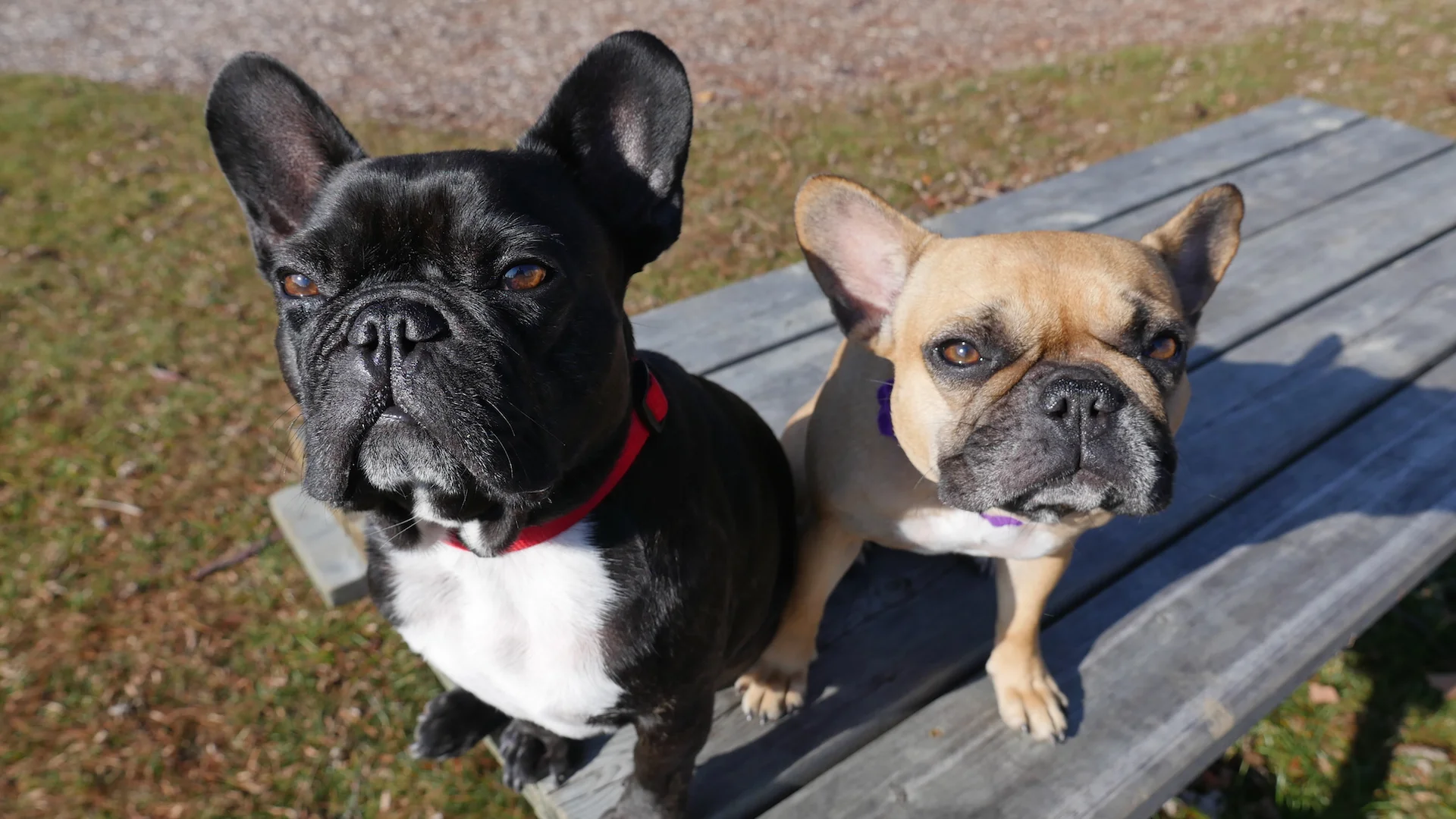 Tuesday Morningtimes (photos and links) 