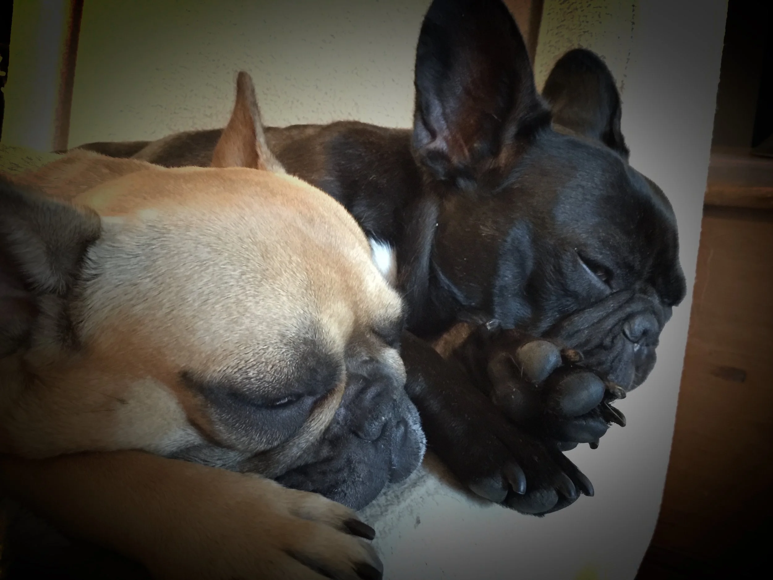 TUESDAY NIGHTYNIGHTIMES (3 photos + a special message!!) 