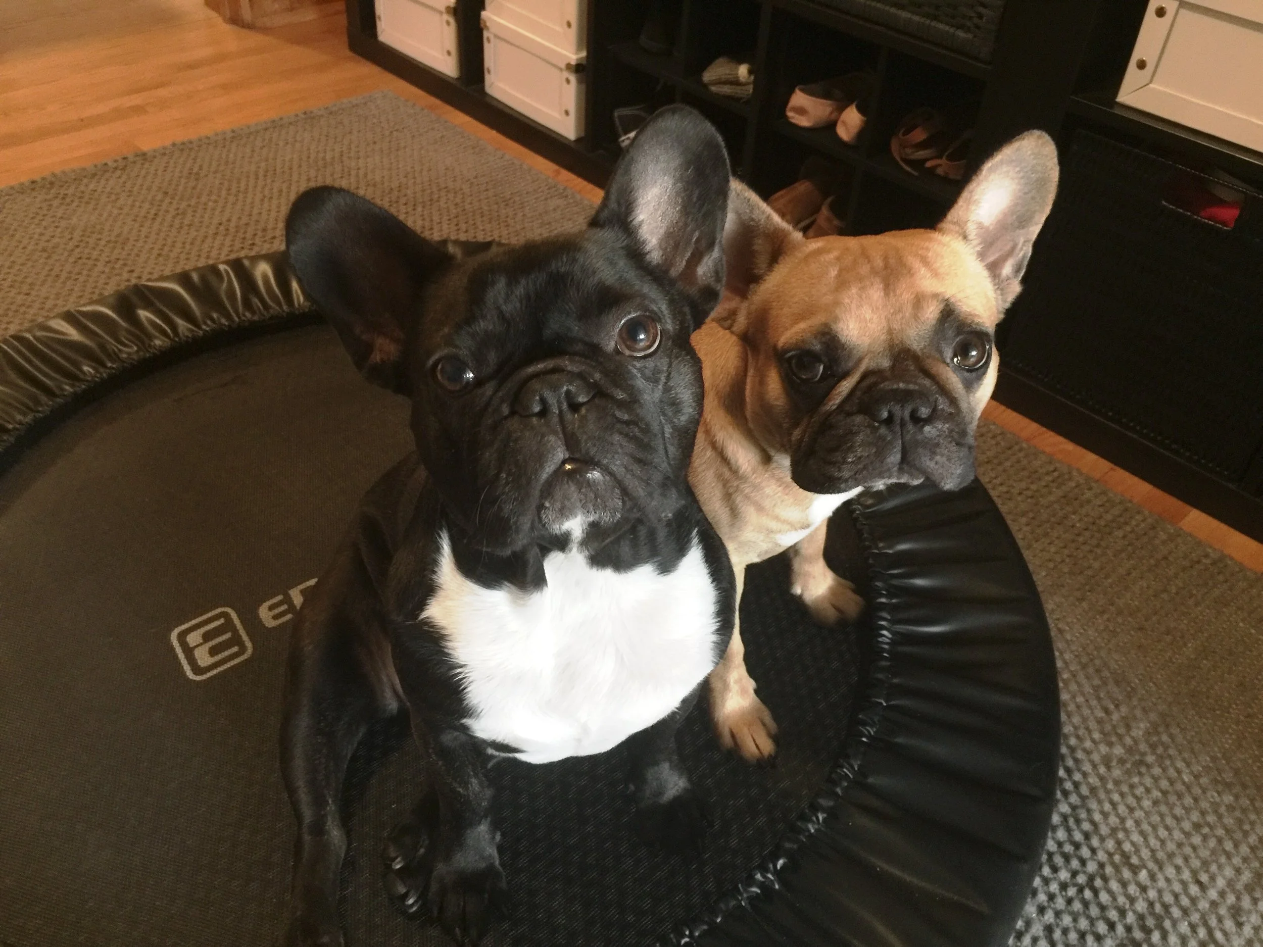 WEDNESDAY MORNINGTIMES!! (photos and links) 