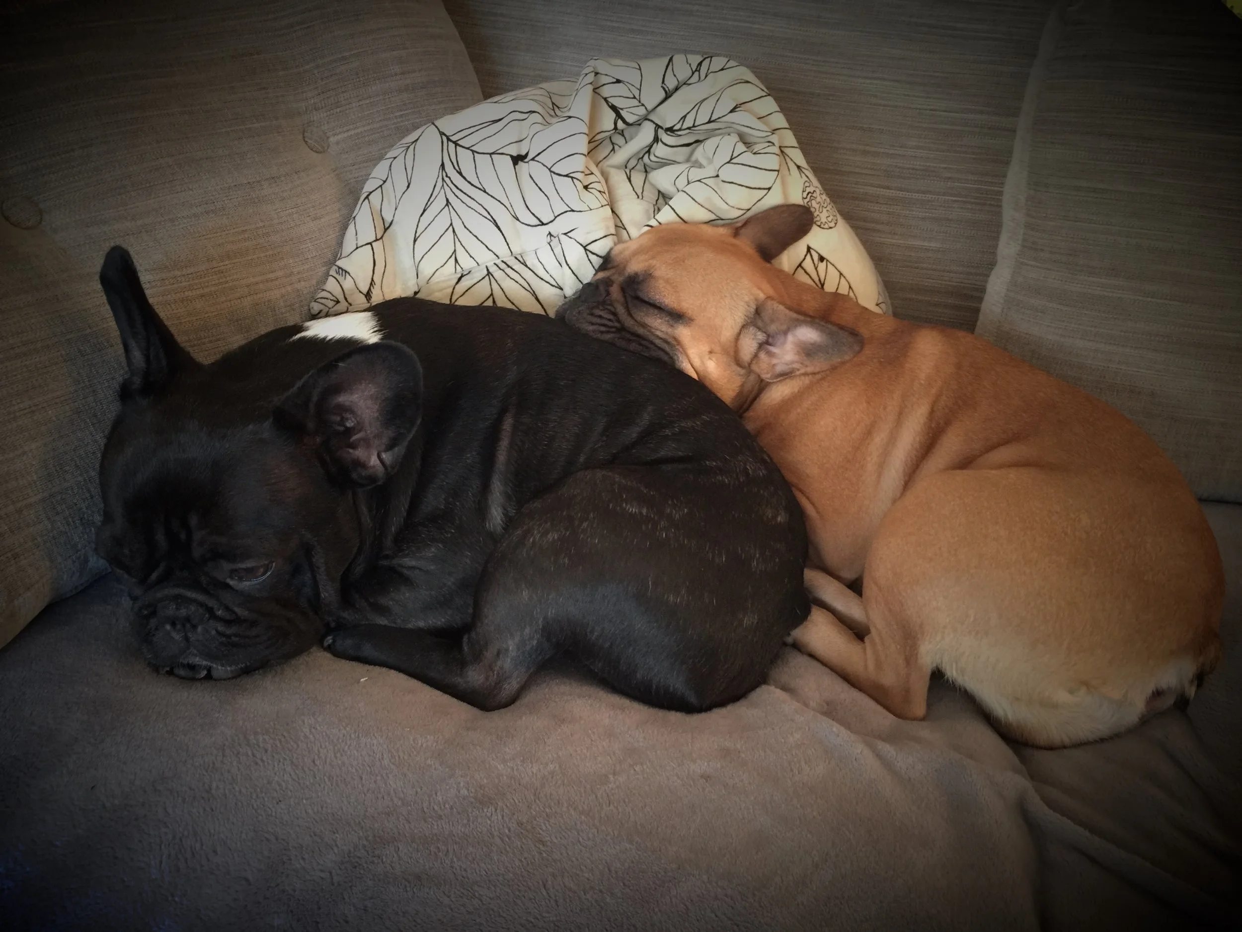 WEDNESDAY NIGHTYNIGHTIMES (3 photos) 