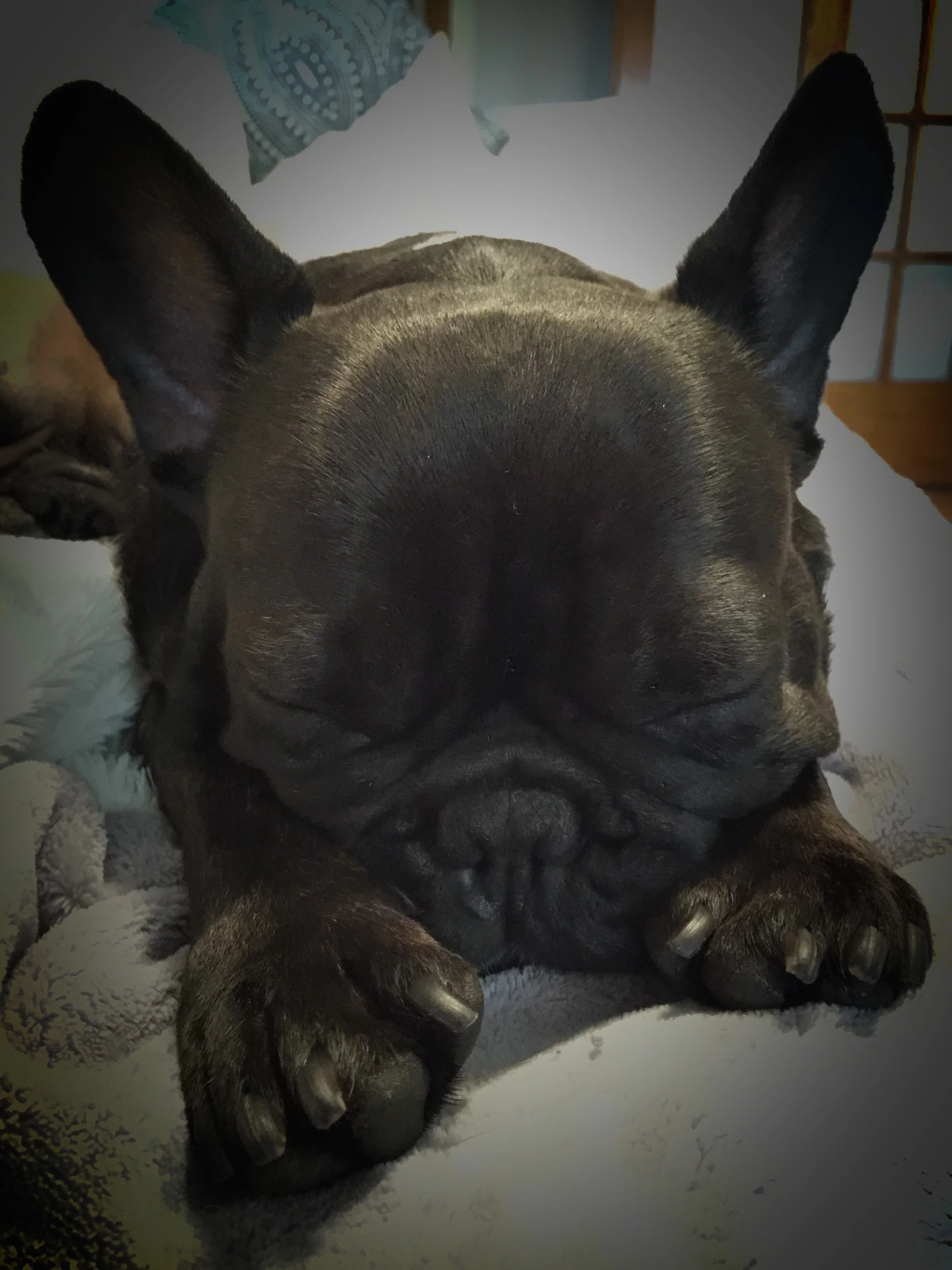 THURSDAY NIGHTYNIGHTIMES (3 photos) 