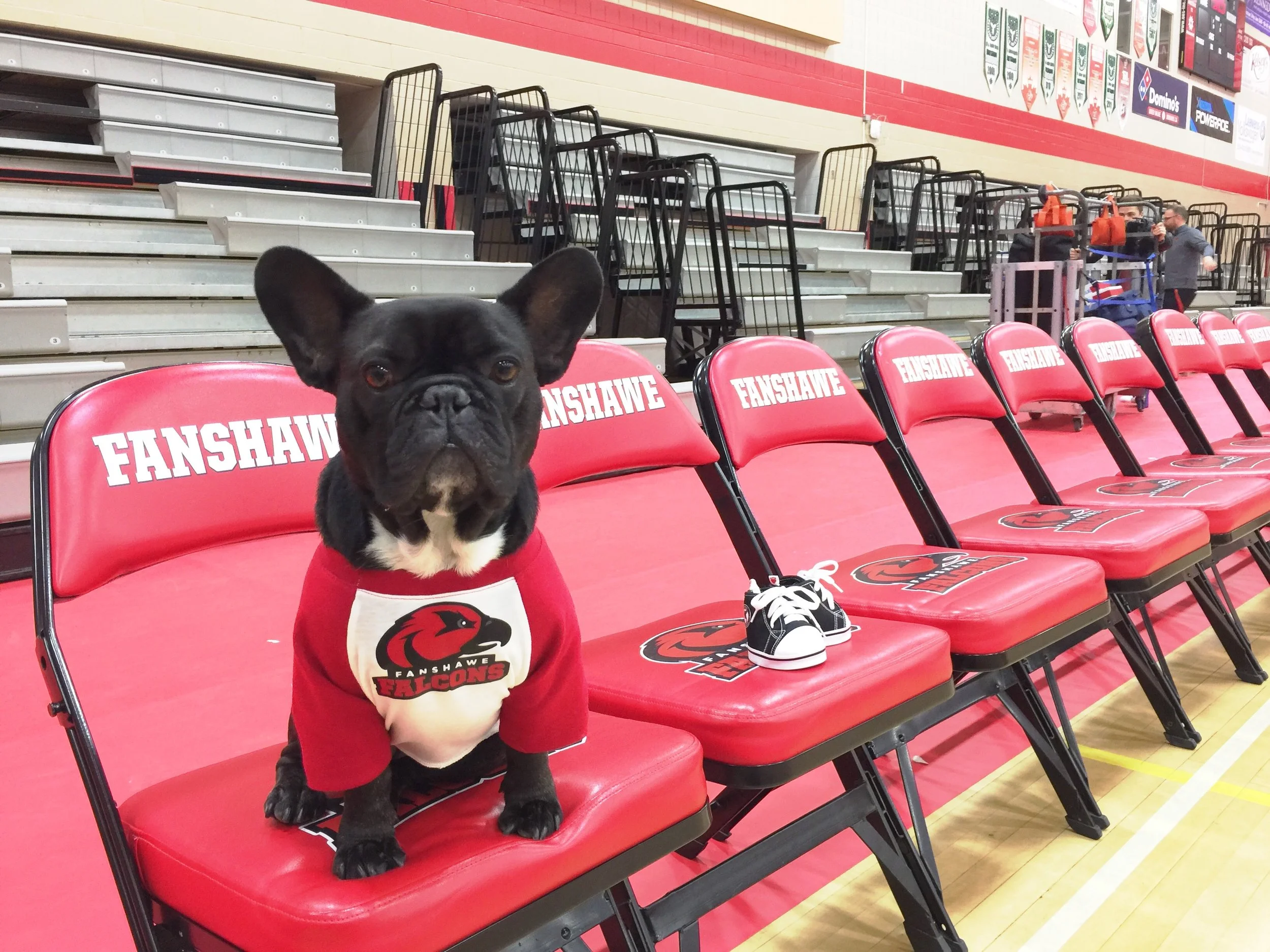 POSERATING WITH THE FANSHAWE FALCONS!! (17 photos) 