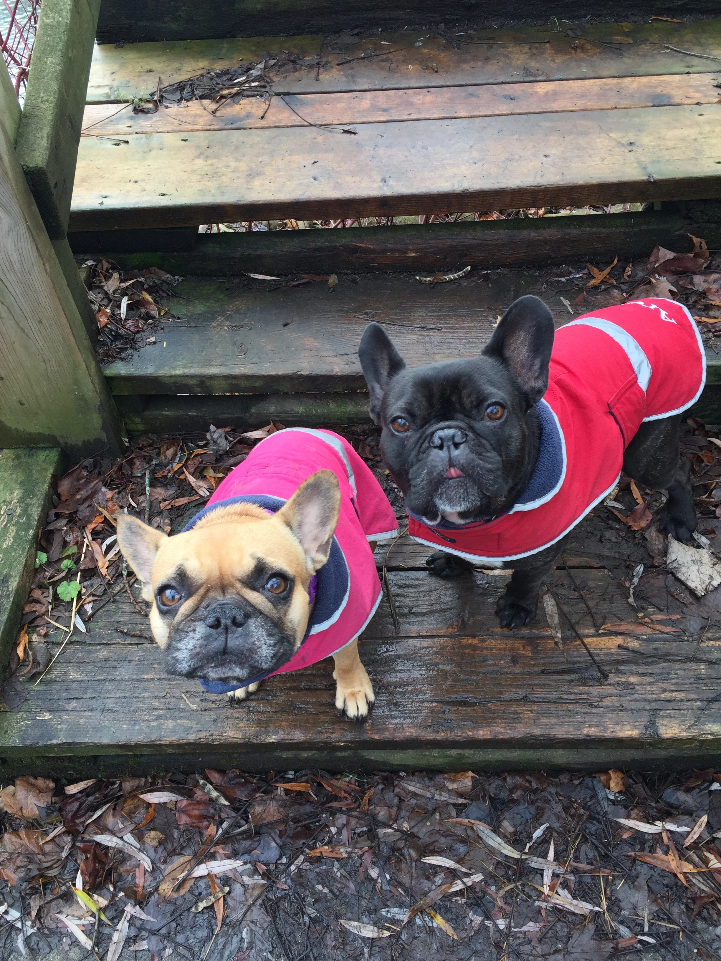 TUESDAY MORNINGTIMES!! (3 photos) 