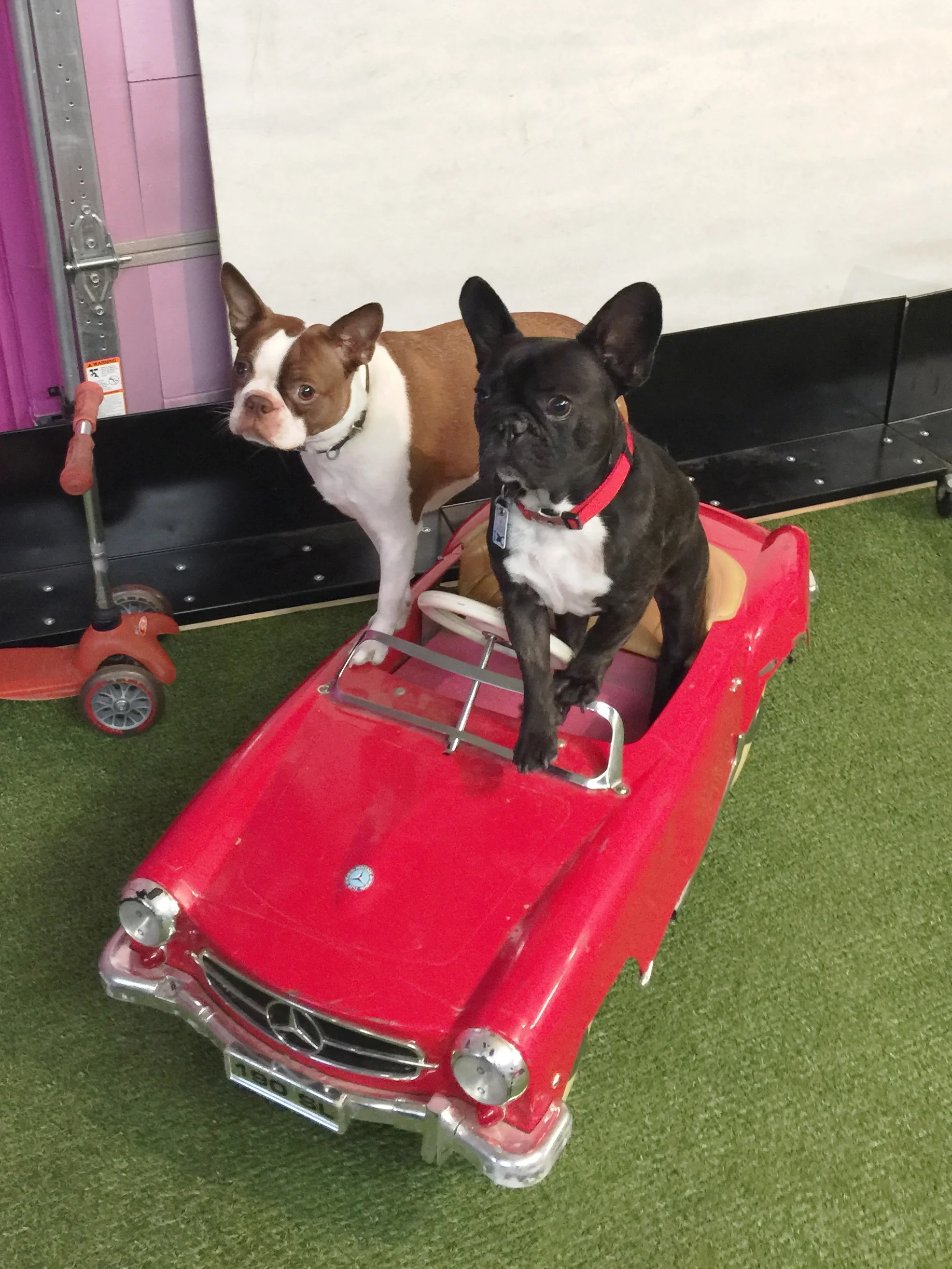 I AM LEARNING HOW TO DRIVE A ROLLYCAR, GUYS!! (10 photos) 