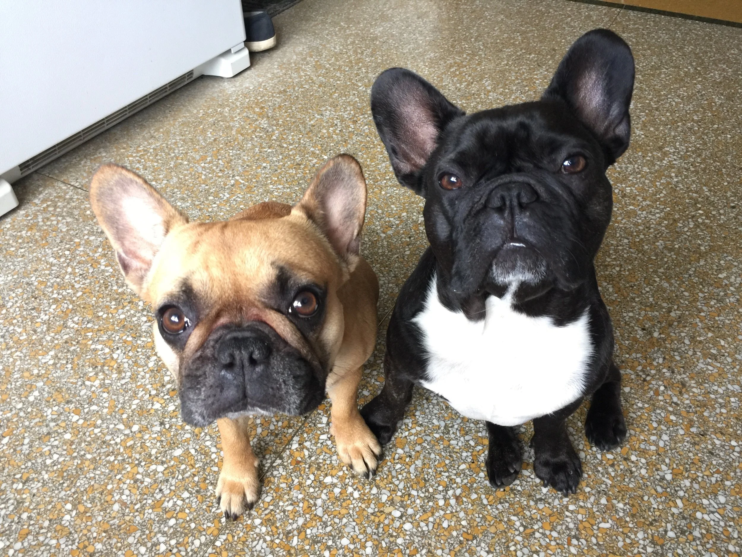 WEDNESDAY MORNINGTIMES!! (4 photos) 