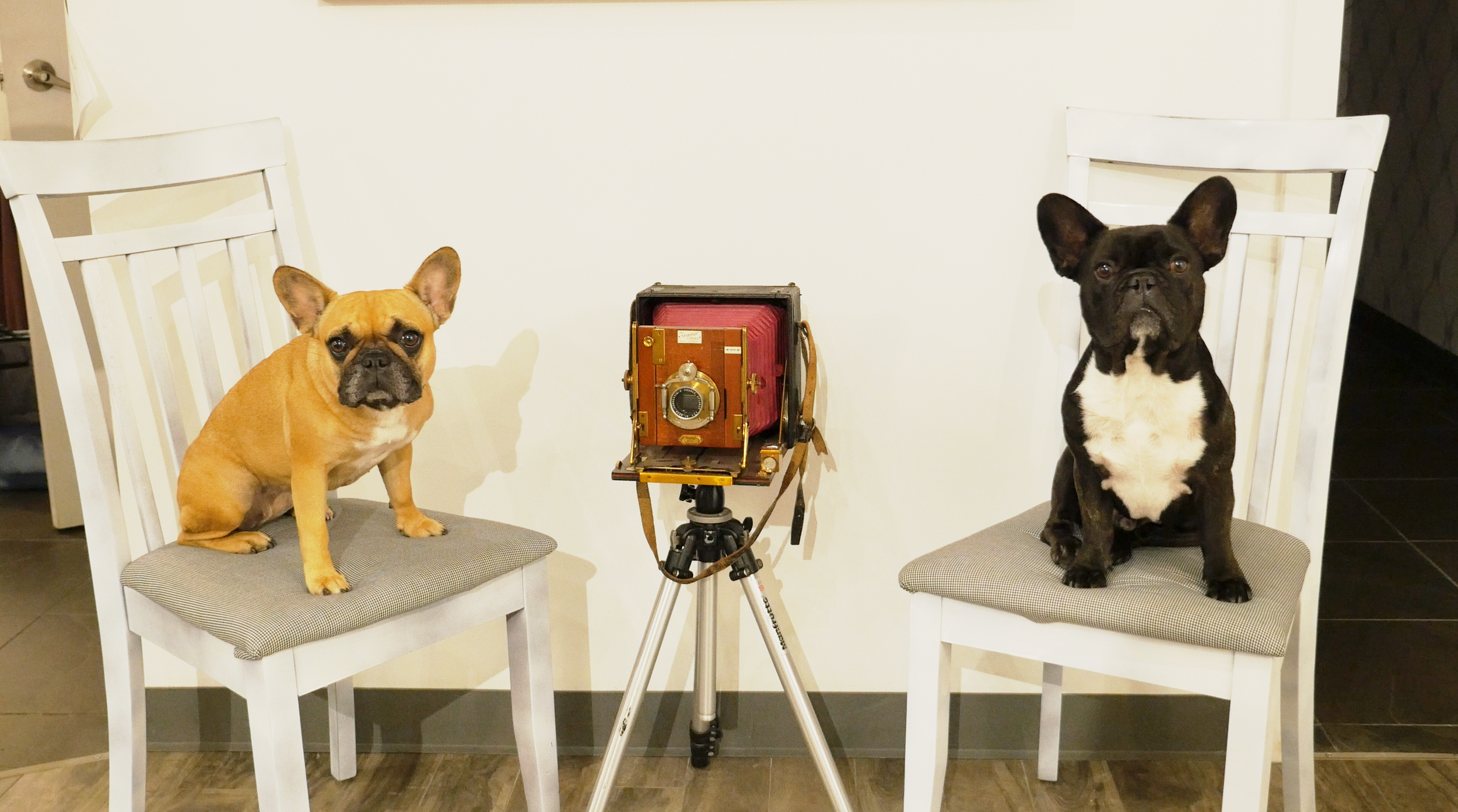 THURSDAY MORNINGTIMES (1 photo) 