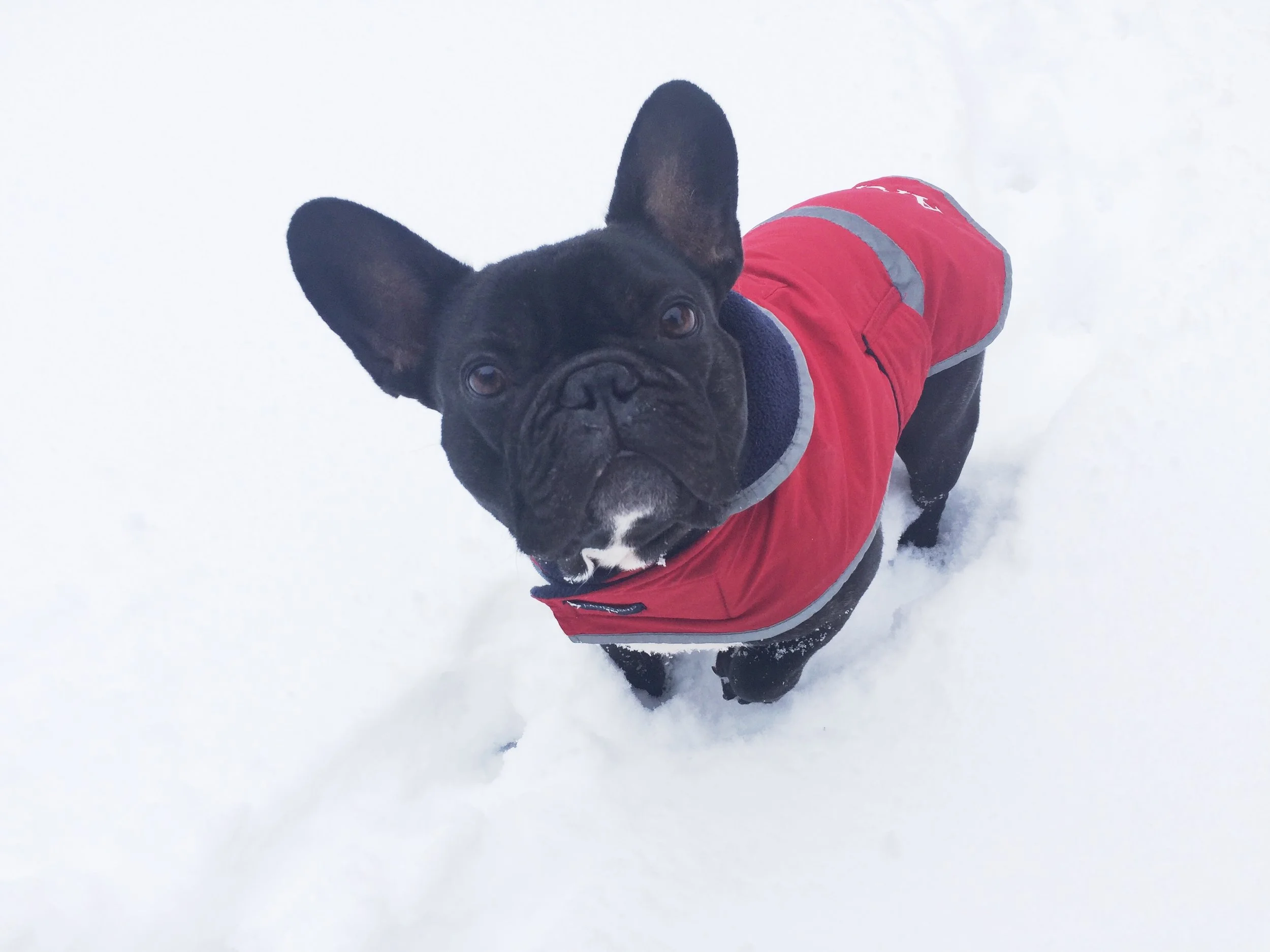 MONDAY MORNINGTIMES (7 photos) 