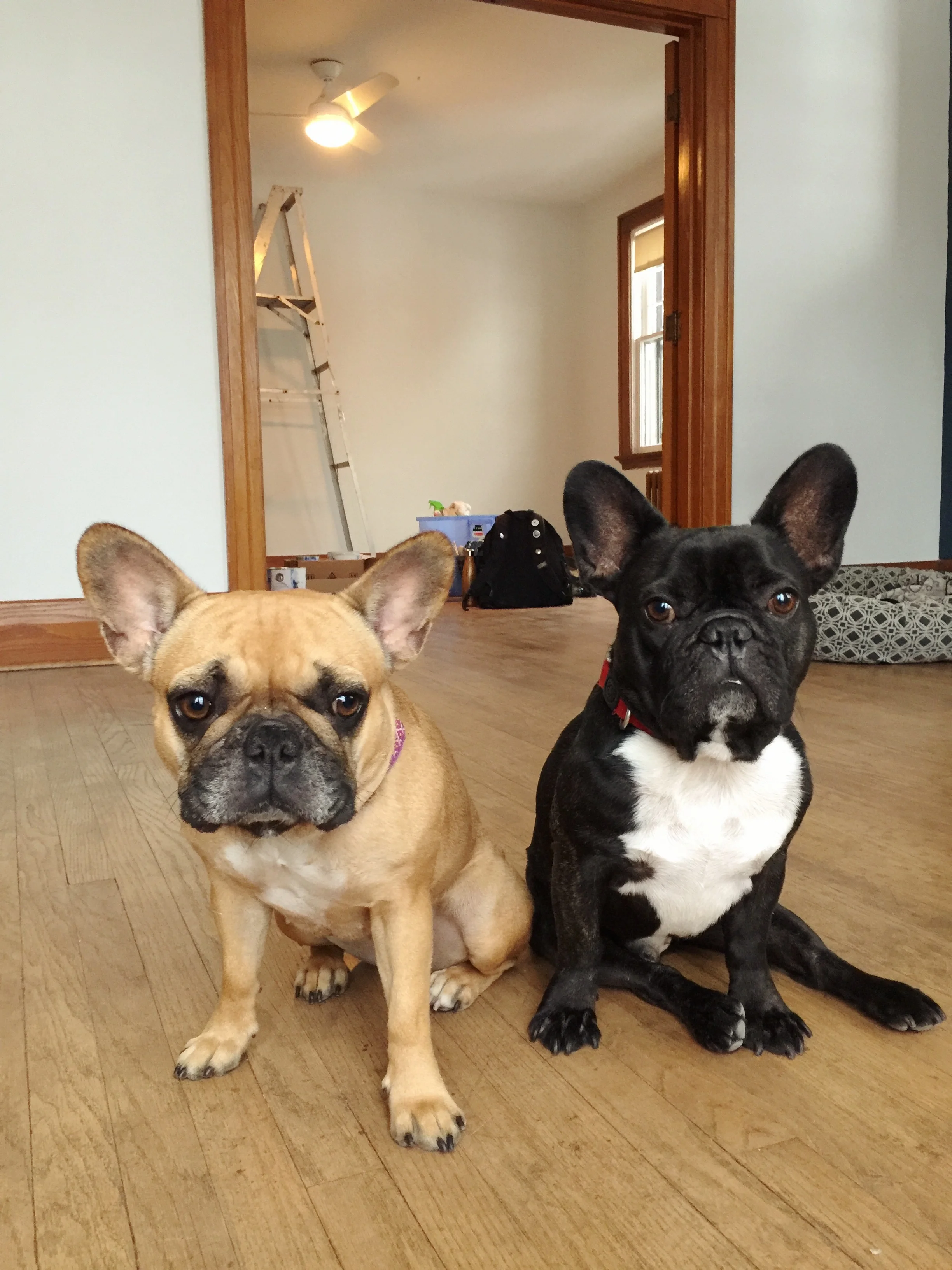 TUESDAY MORNINGTIMES (21 photos) 