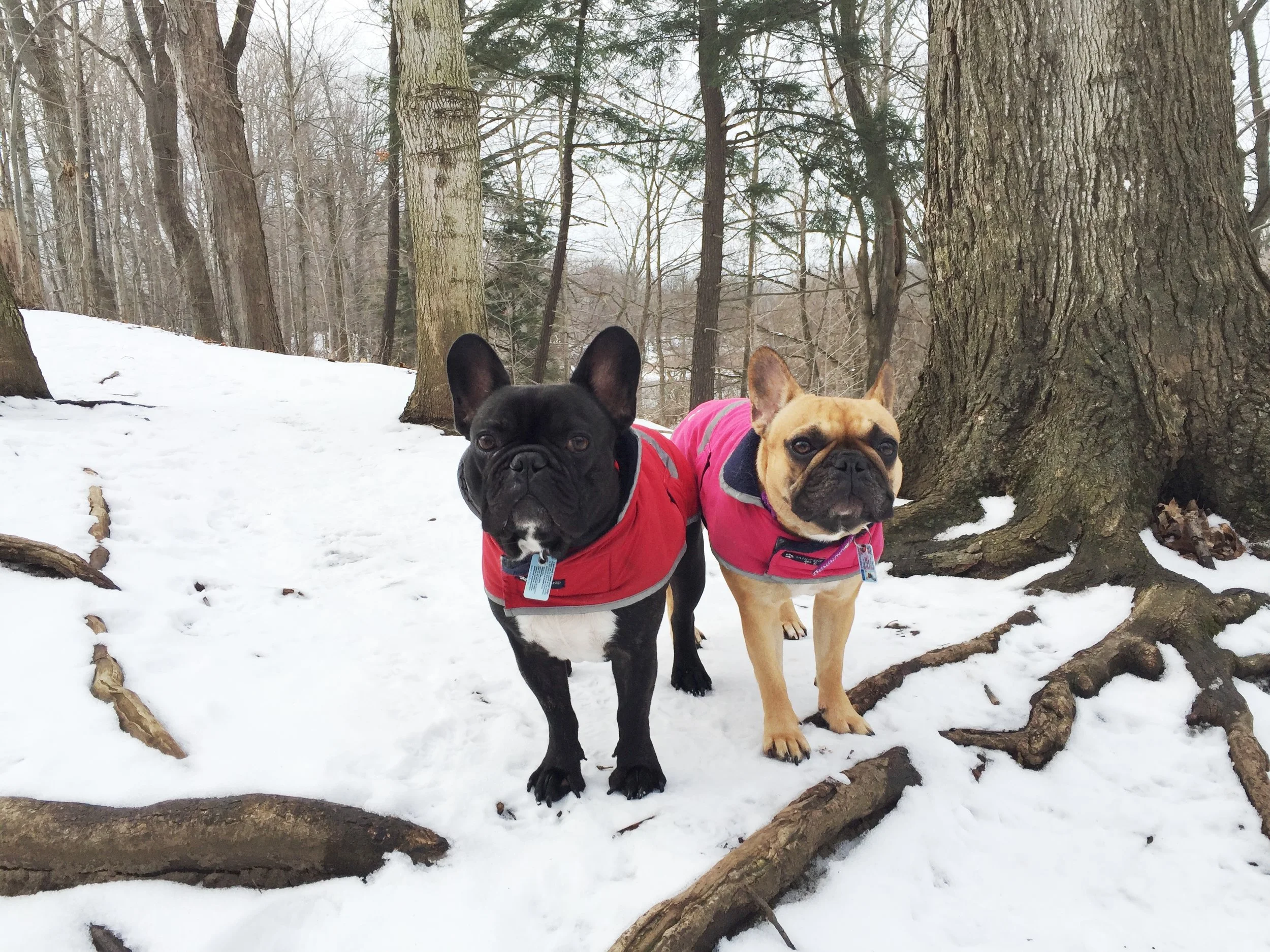 WEDNESDAY MORNINGTIMES (3 photos) 