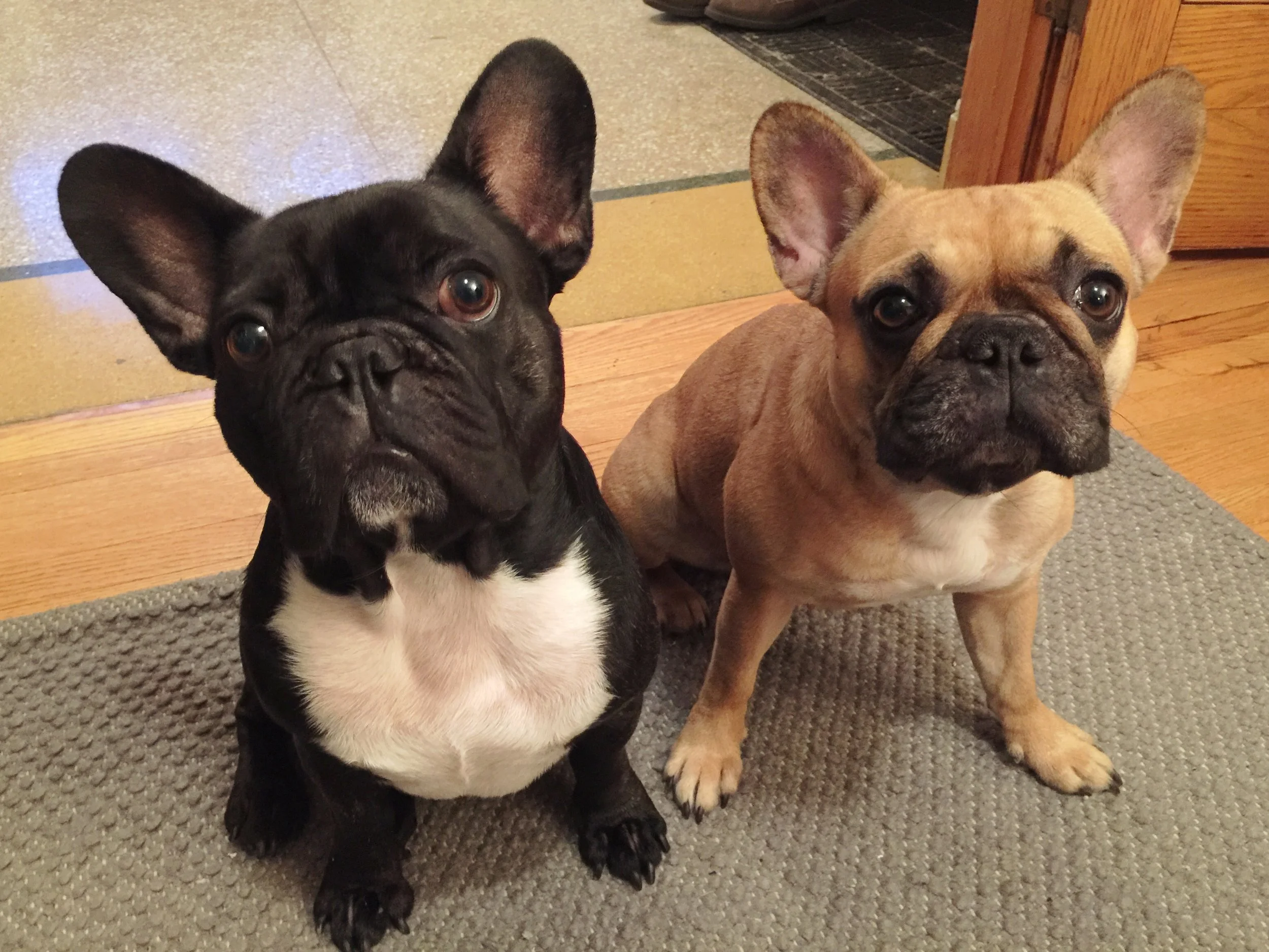 FRIDAY MORNINGTIMES!! (3 photos) 