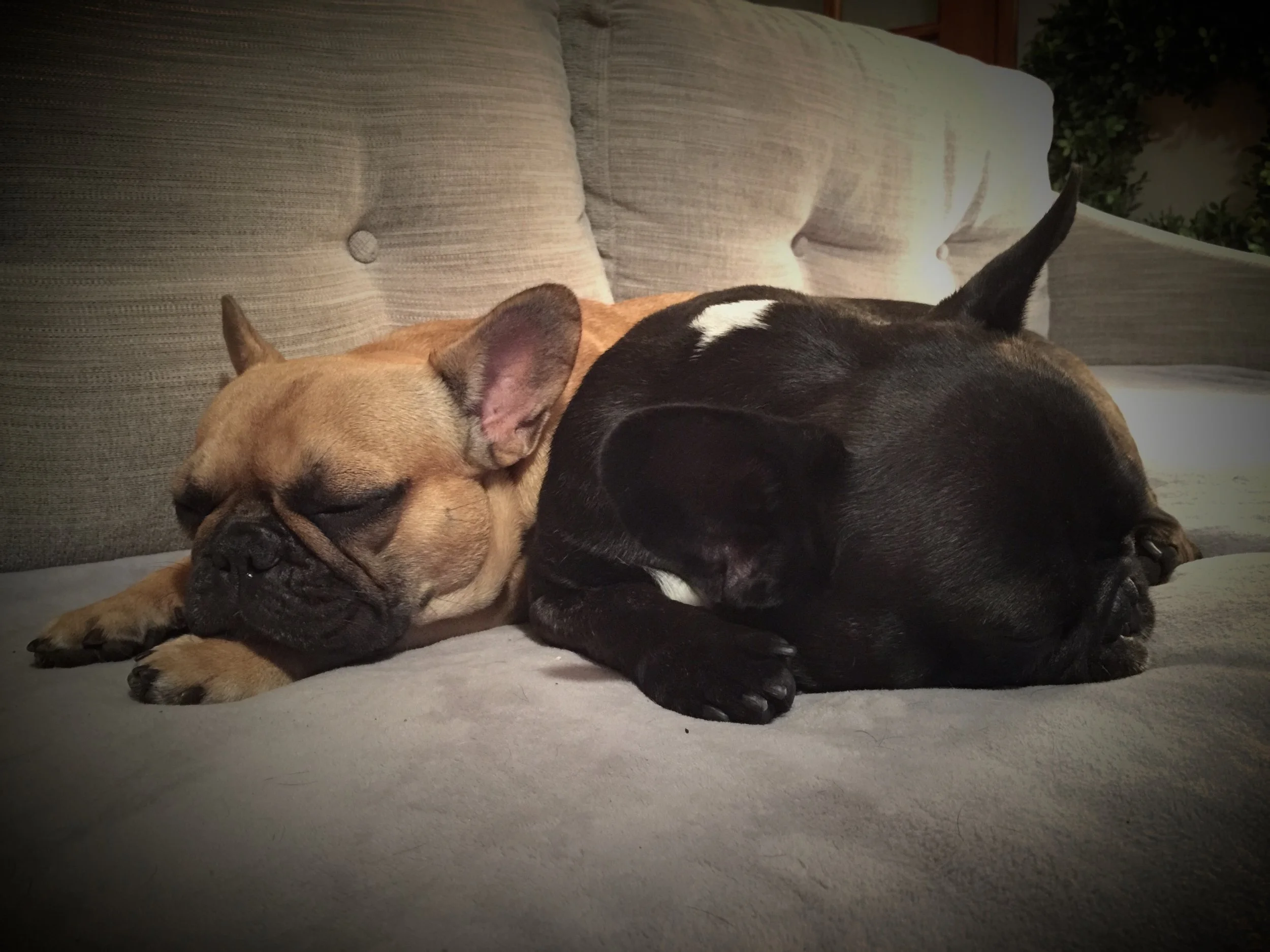 FRIDAY NIGHTYNIGHTIMES!! (3 photos) 