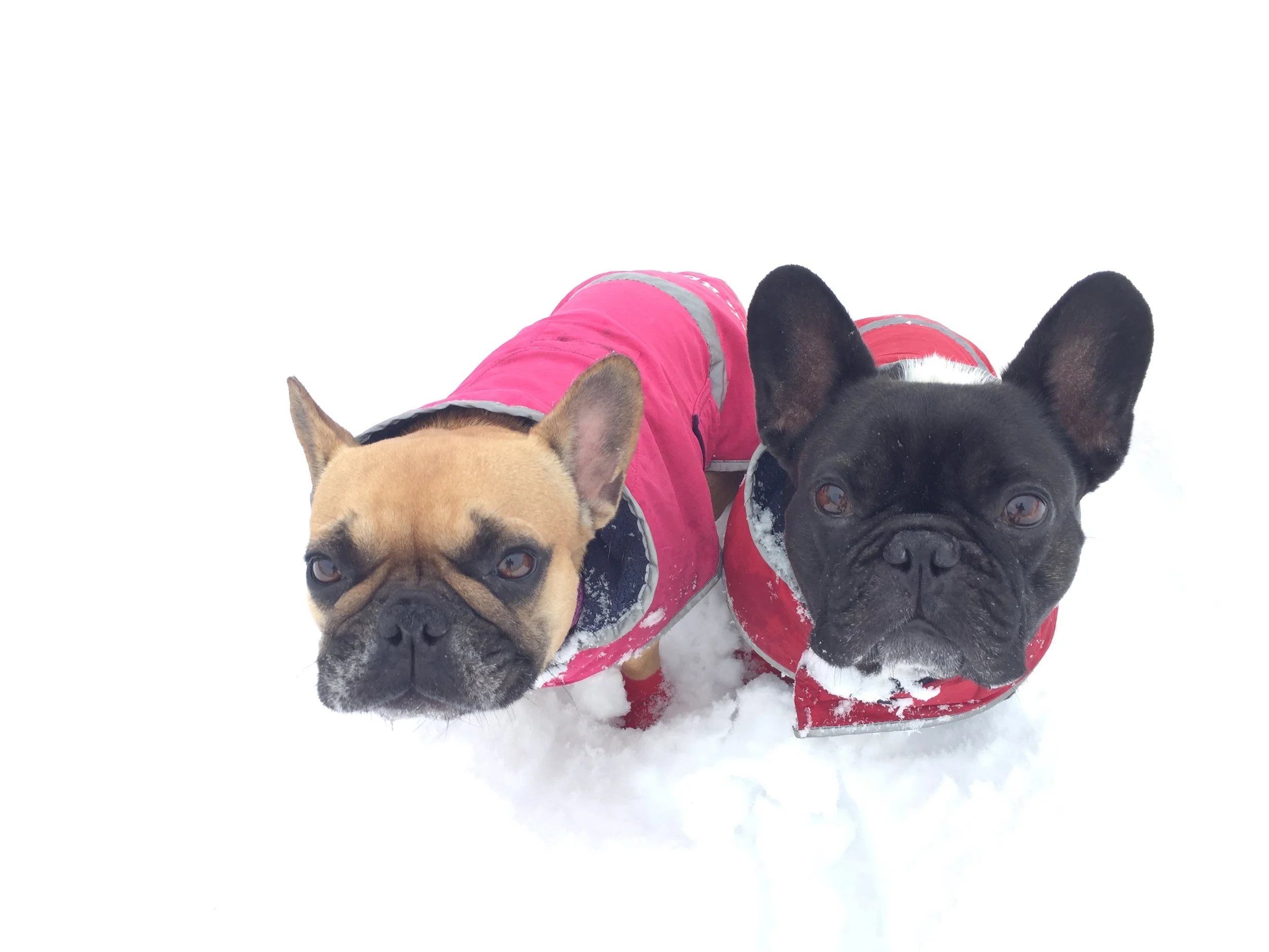 MONDAY MORNINGTIMES!! (18 photos) 