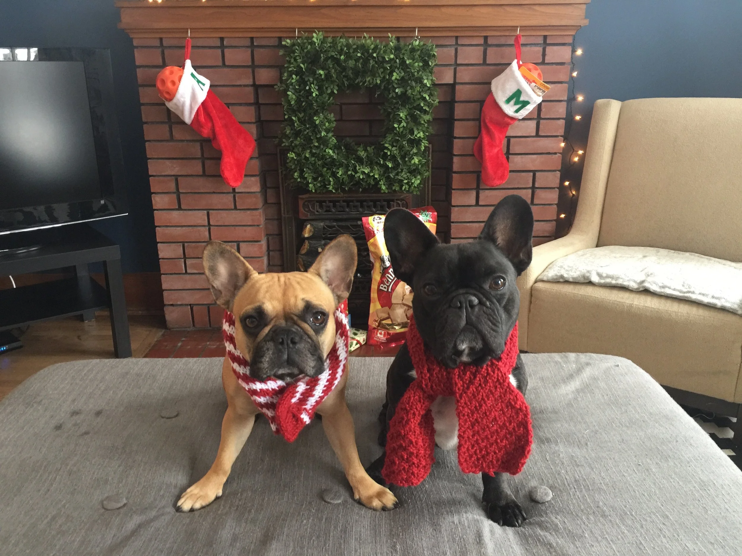 HAPPY MERRY CRISPYMESSTIMES, EVERYBUDDY!! (13 photos) 