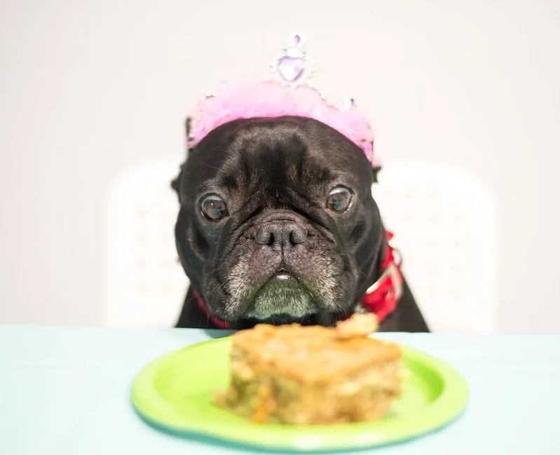 HAPPYHAPPY BIRTHDAYTIMES FOR COUSIN ELLIE!! (12 photos) 