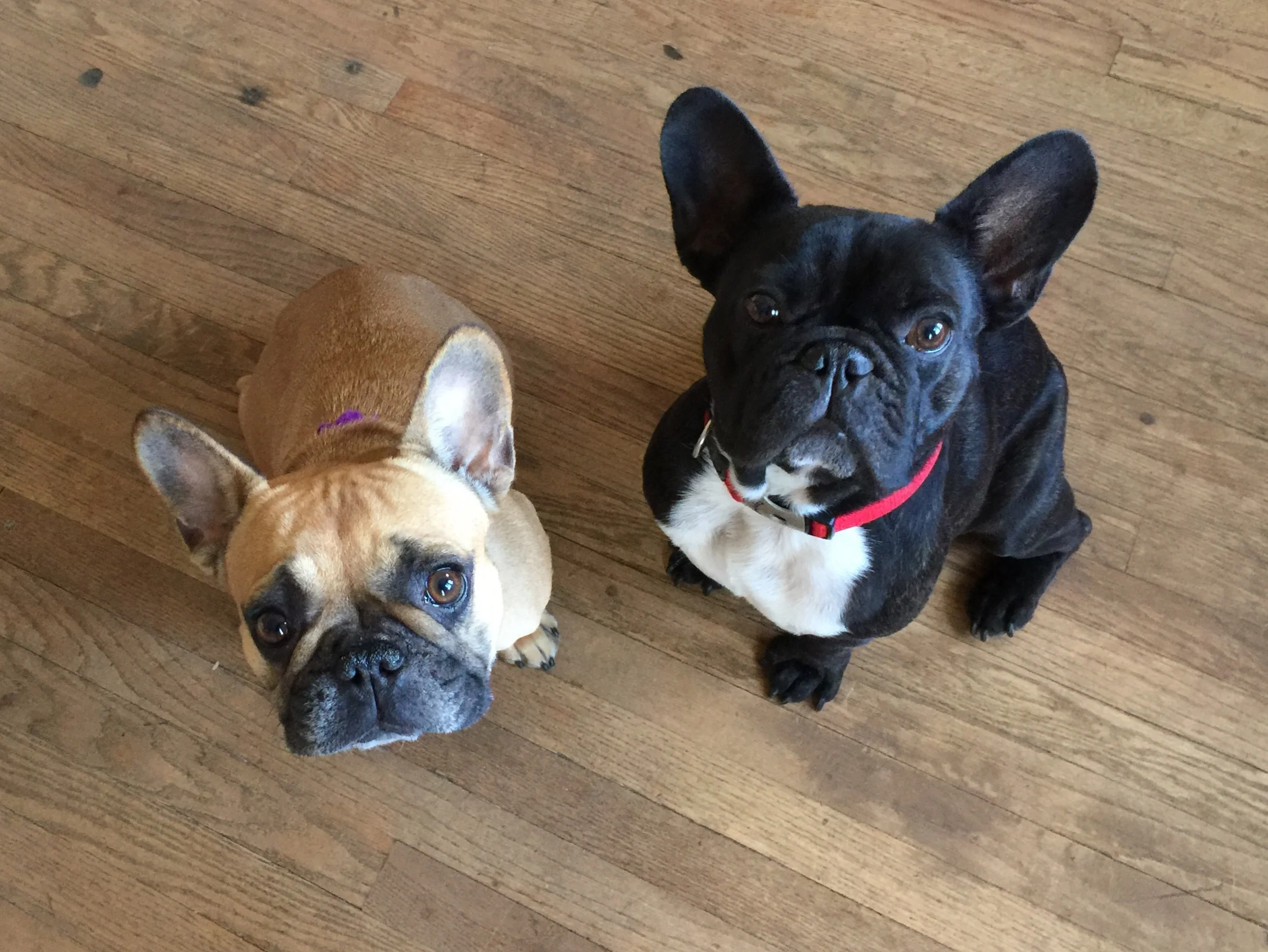 WEDNESDAY MORNINGTIMES (3 photos) 