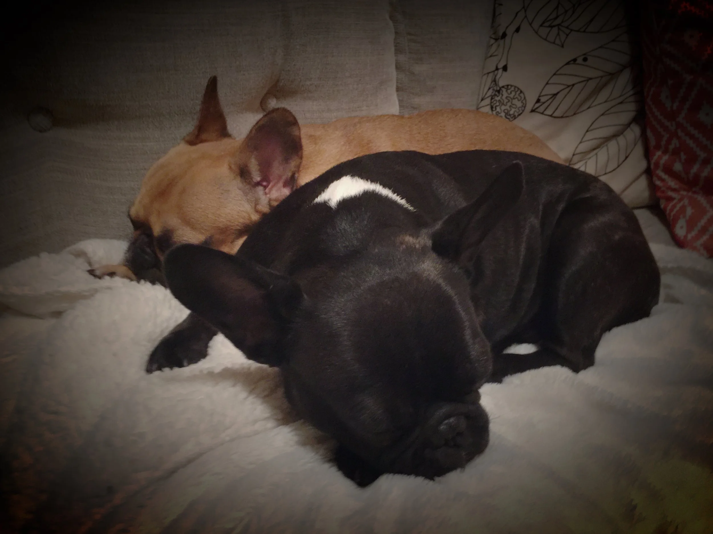 WEDNESDAY NIGHTYNIGHTIMES (3 photos) 