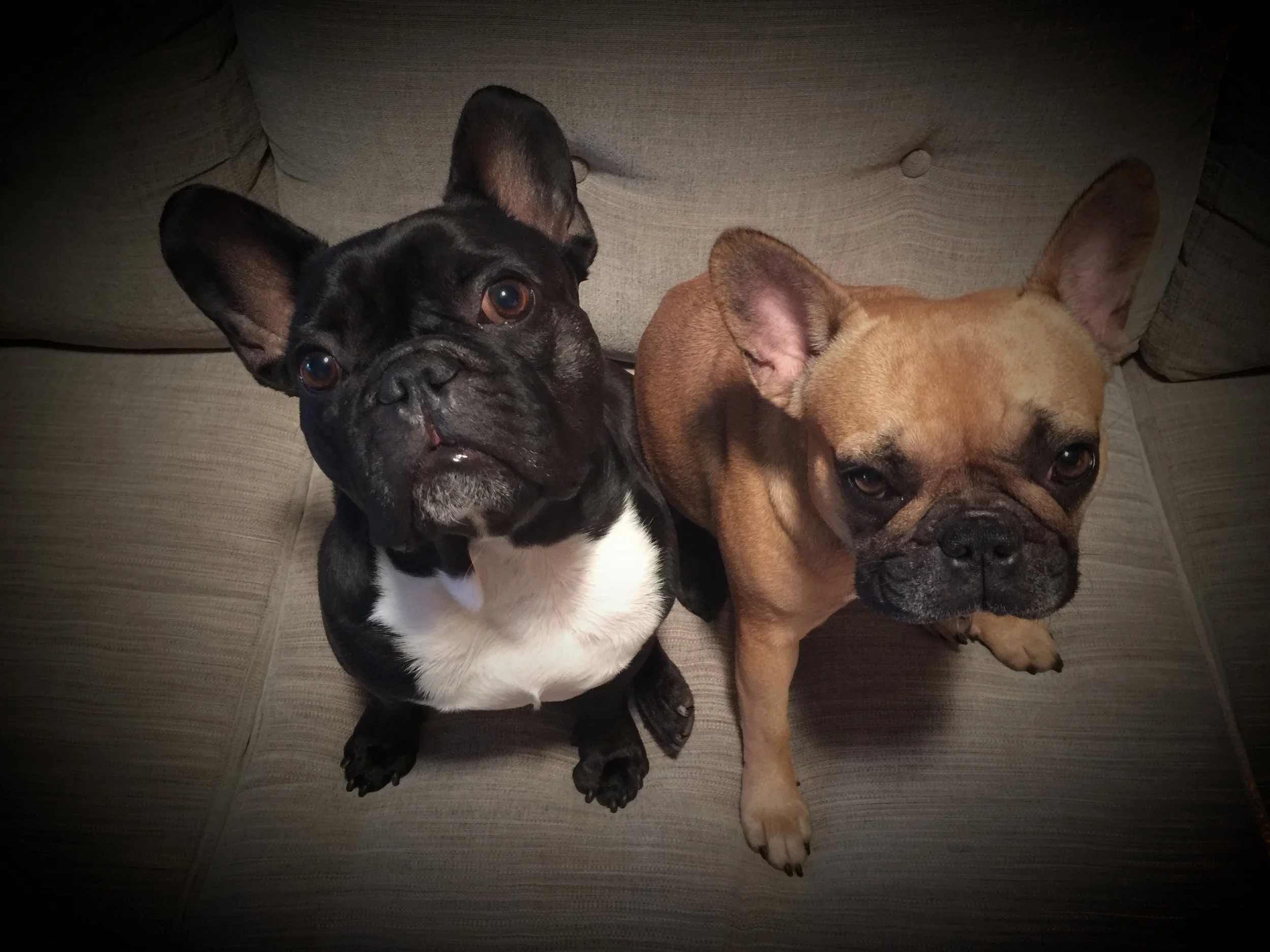 WEDNESDAY NIGHTYNIGHTIMES (3 photos) 