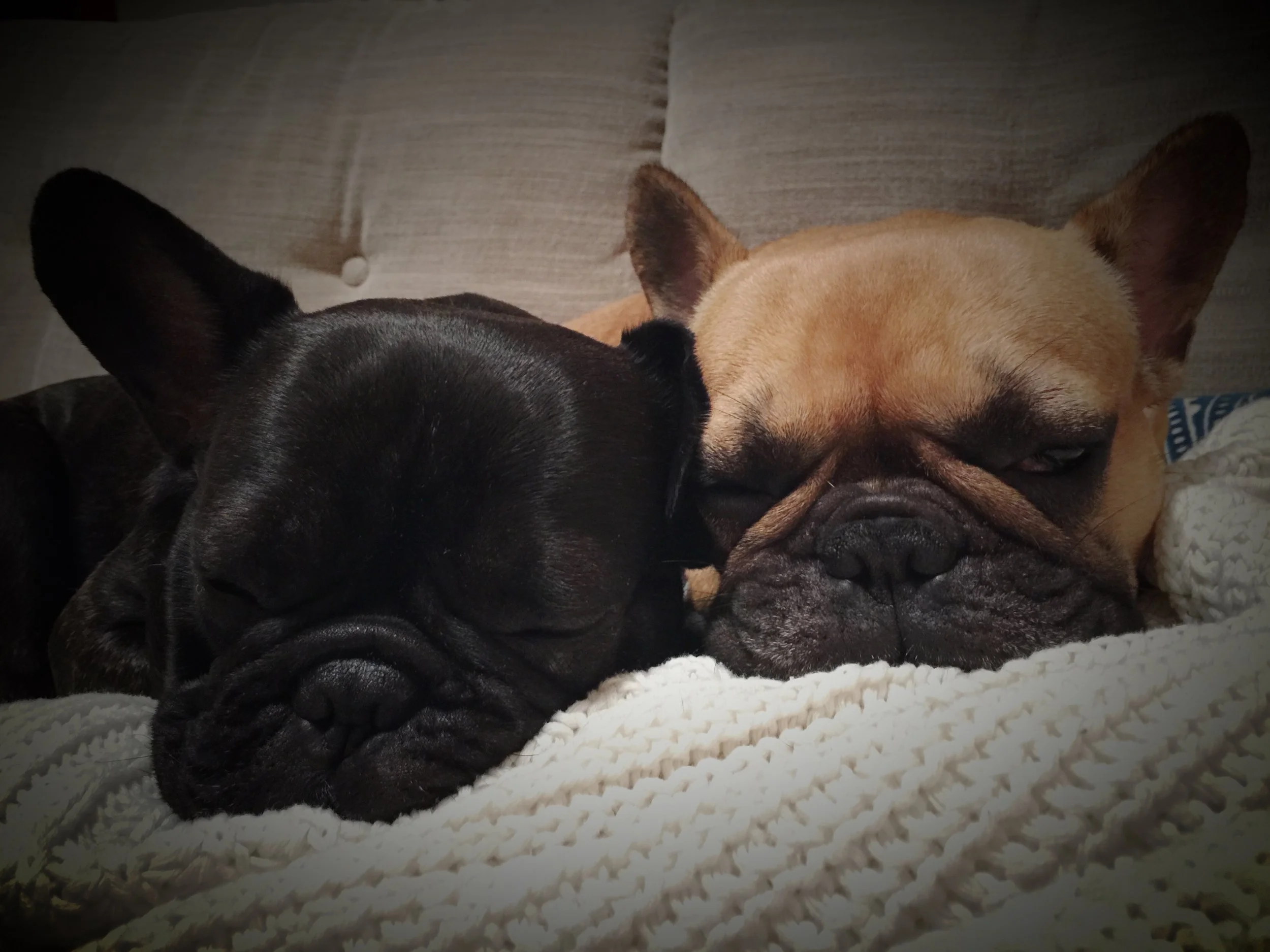 FRIDAY NIGHTYNIGHTIMES (3 photos) 