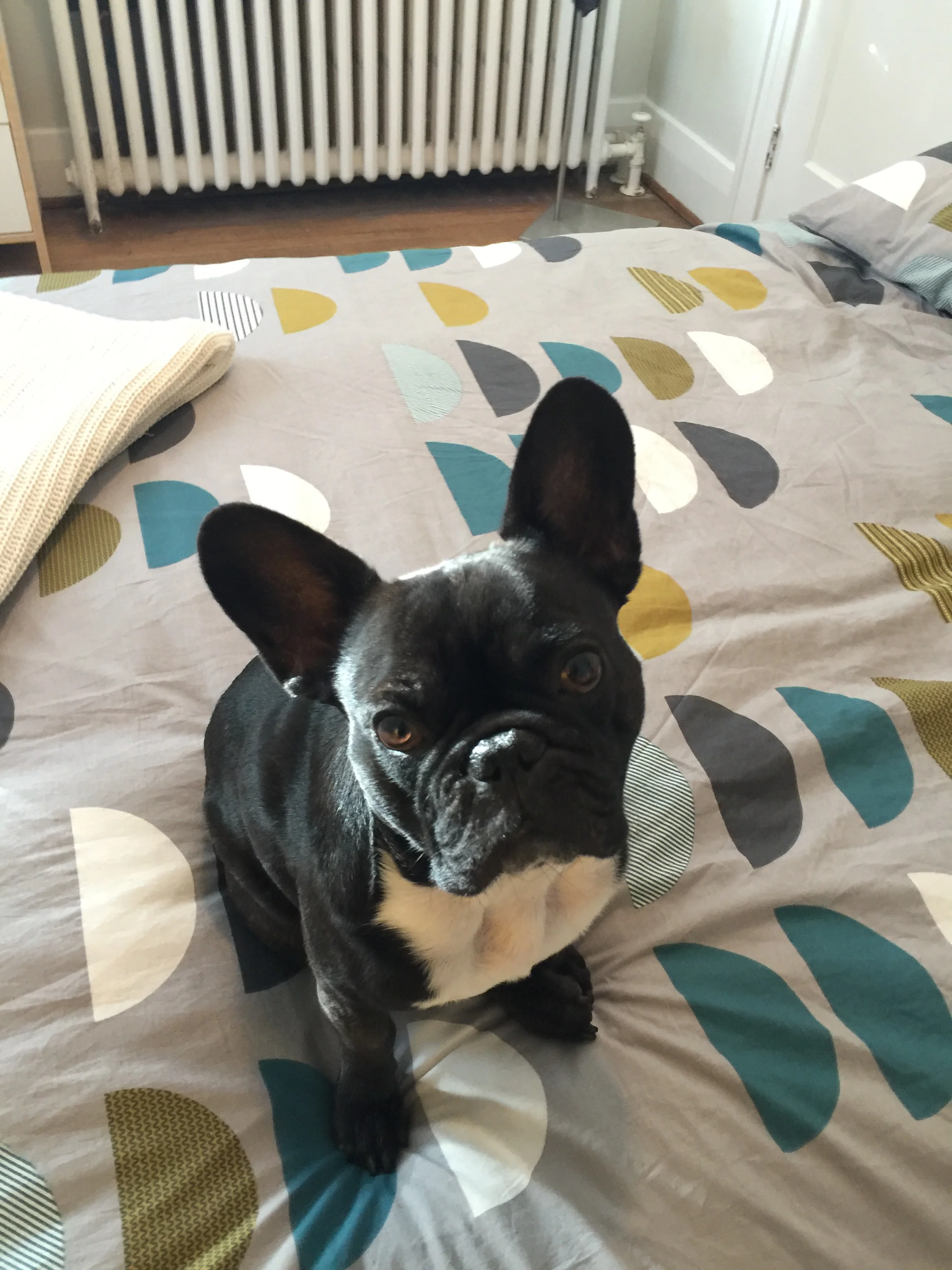 WEDNESDAY MORNINGTIMES!! ( 8 photos) 