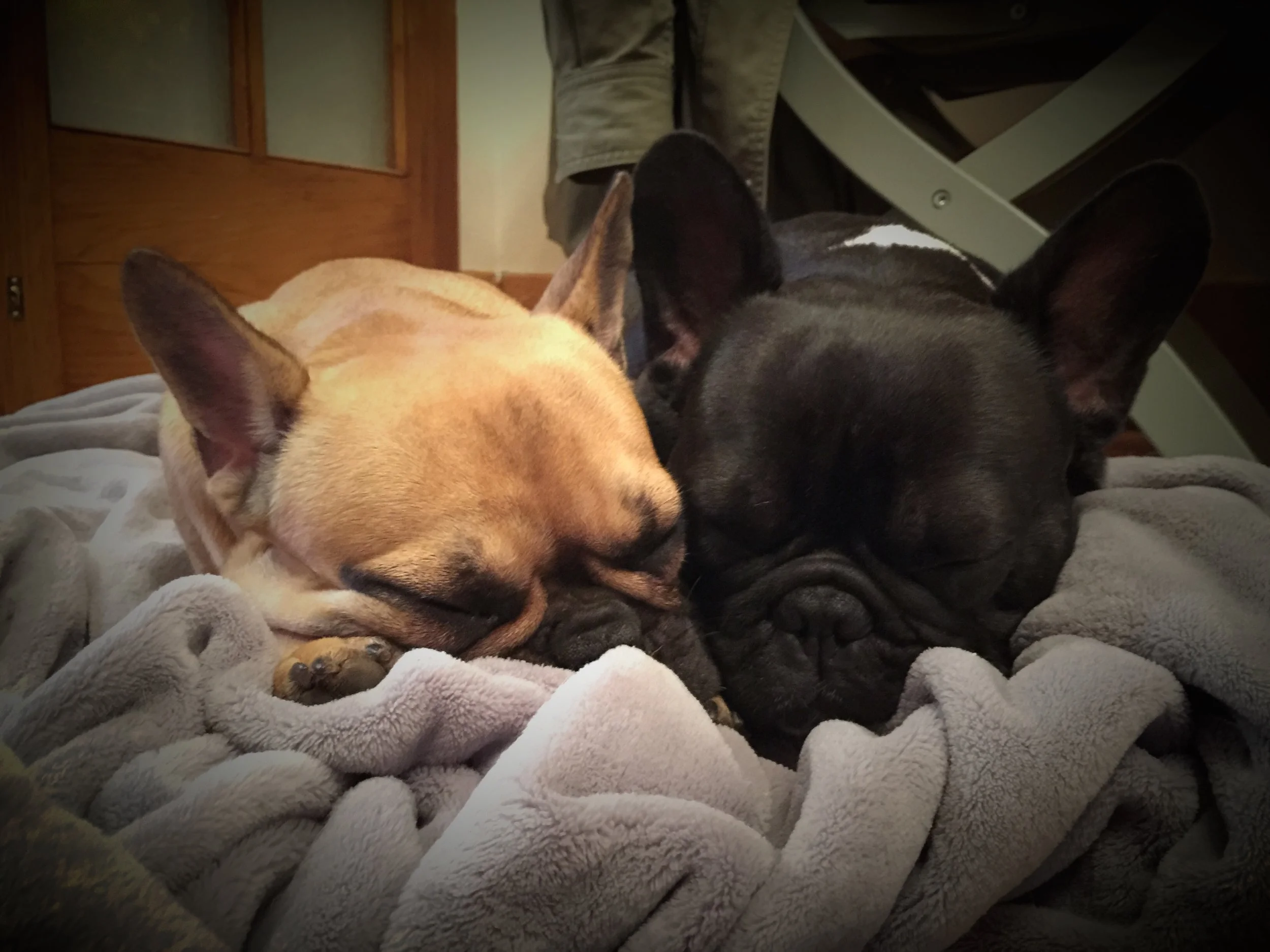 WEDNESDAY NIGHTYNIGHTIMES!! (3 photos) 