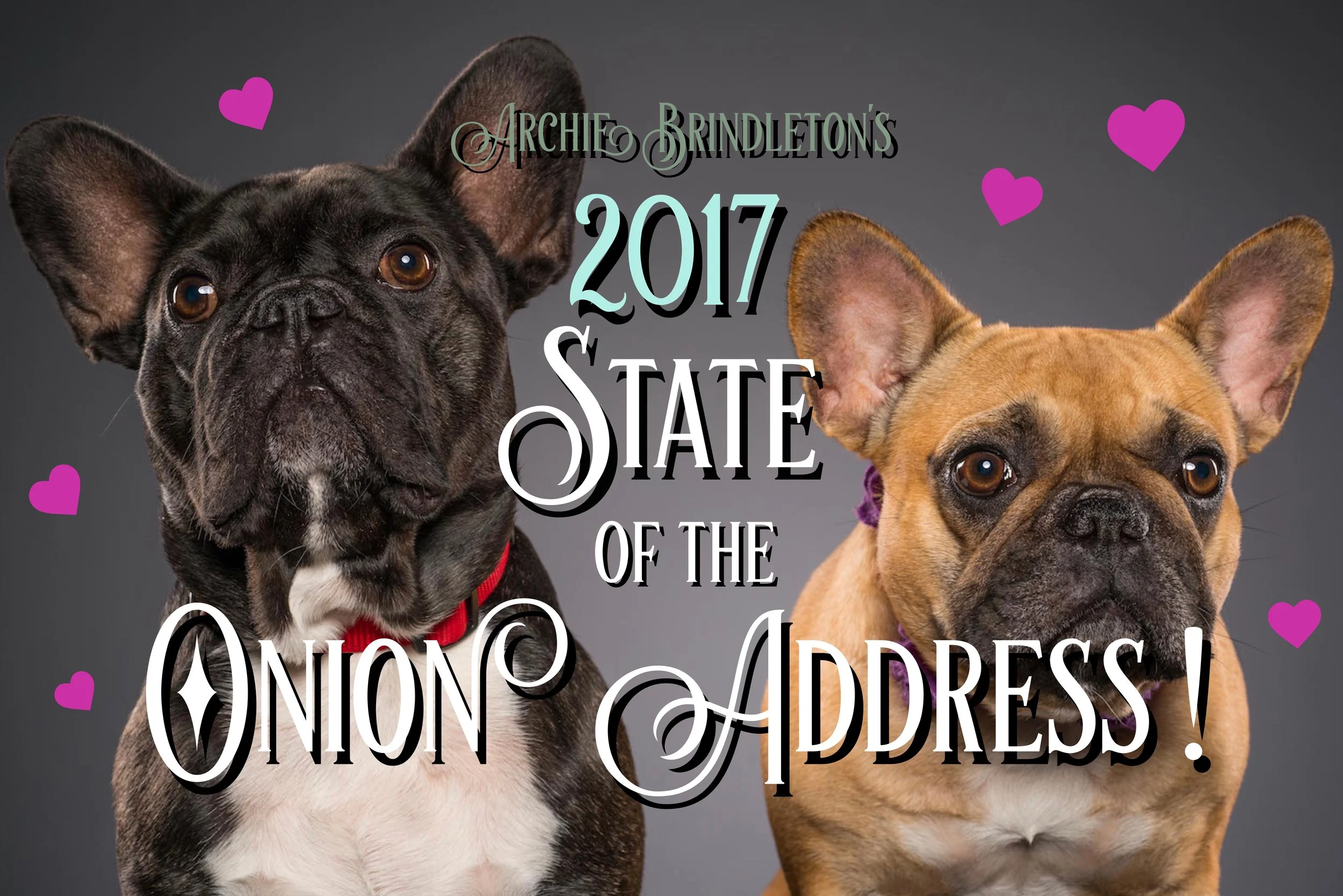 STATE OF THE ONION ADDRESS 2017!! (lots of wordybits!!) 