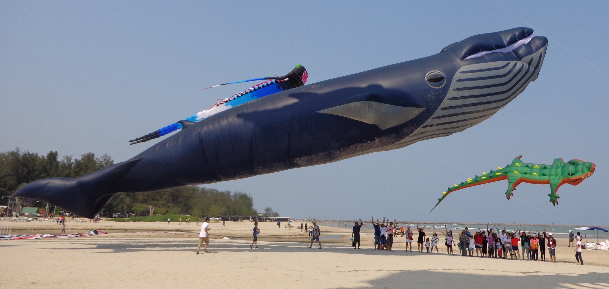 30-meter-Blue-Whale-in-Thailand.jpg