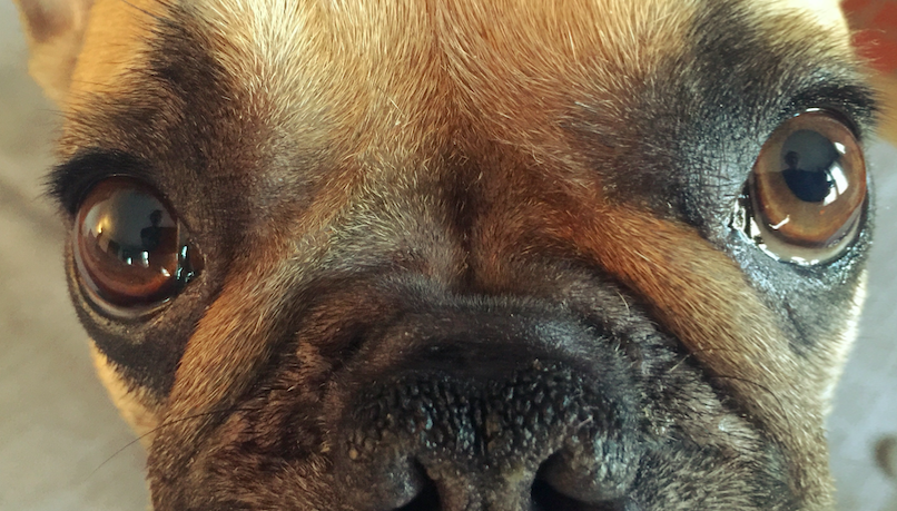 MONDAY MORNINGTIMES WITH MIRABELLE!! (5 photos)