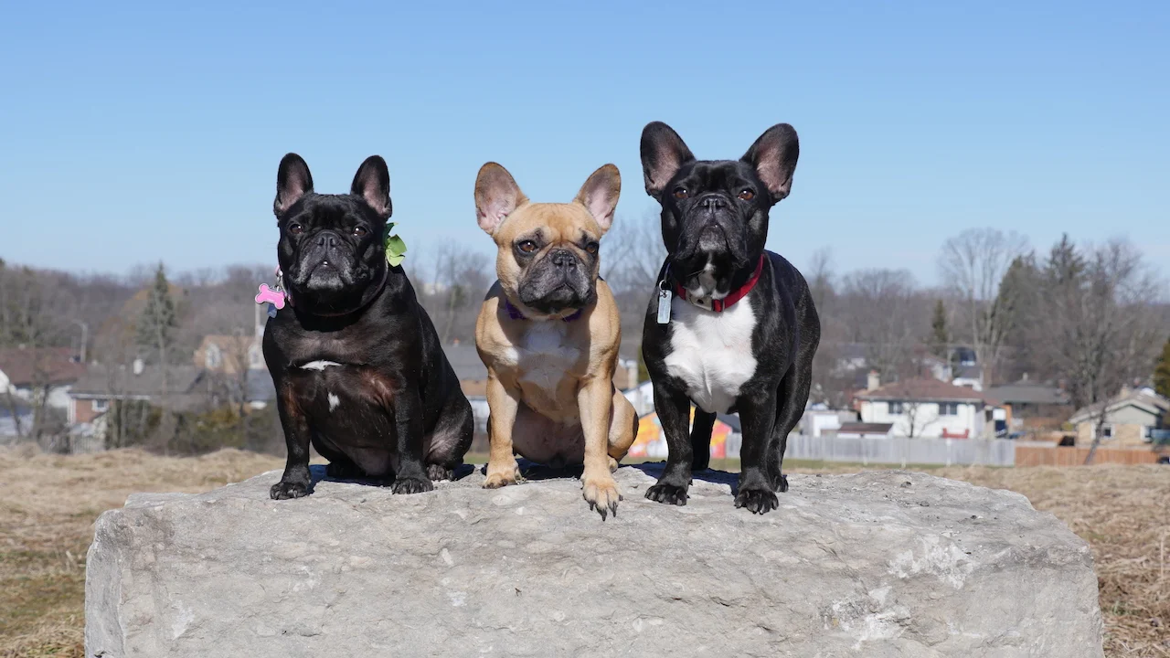 TUESDAY MORNINGTIMES!! (11 photos) 