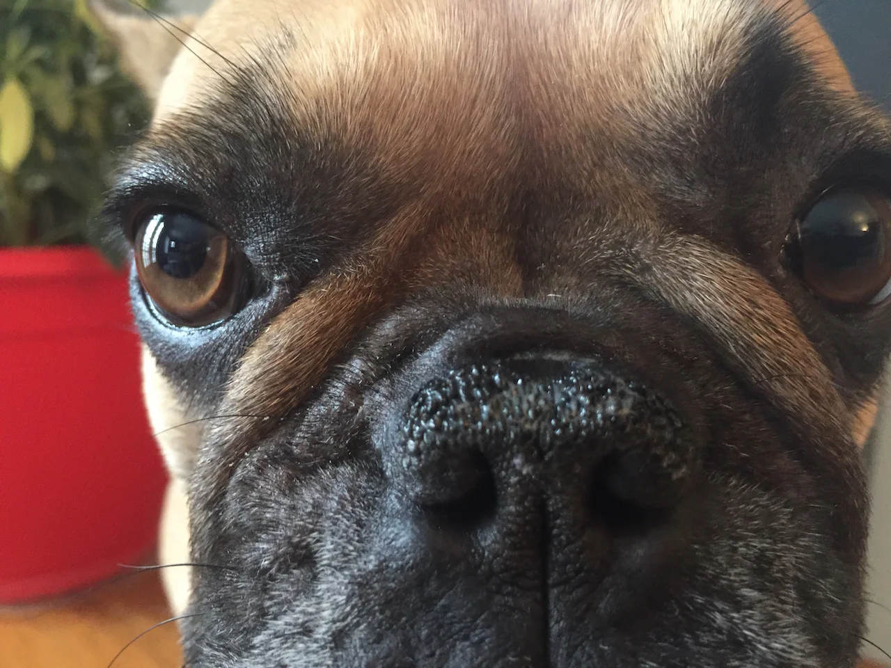 MONDAY MORNINGTIMES... WITH MIRABELLE!! (11 photos) 