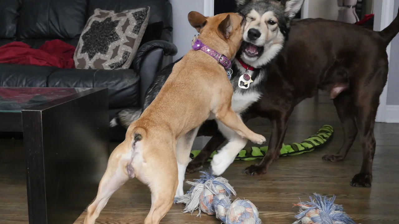 WEDNESDAY NIGHTYNIGHTIMES.... PLUS A SNEAKYPEEK AT SOME SOOPERFUN PICTURESTORIES!! (7 photos) 