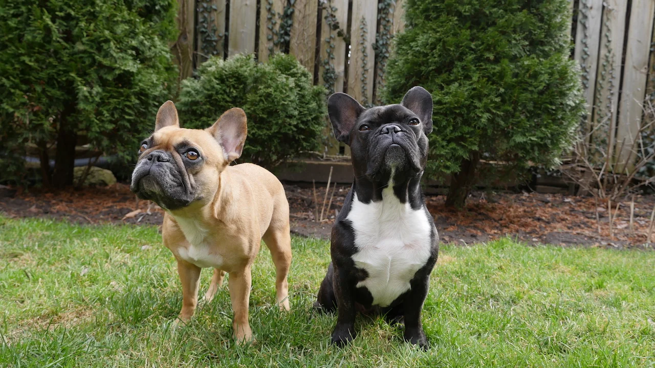 THURSDAY MORNINGTIMES... PLUS NATIONAL DOCTOR'S DAY!! (6 photos) 