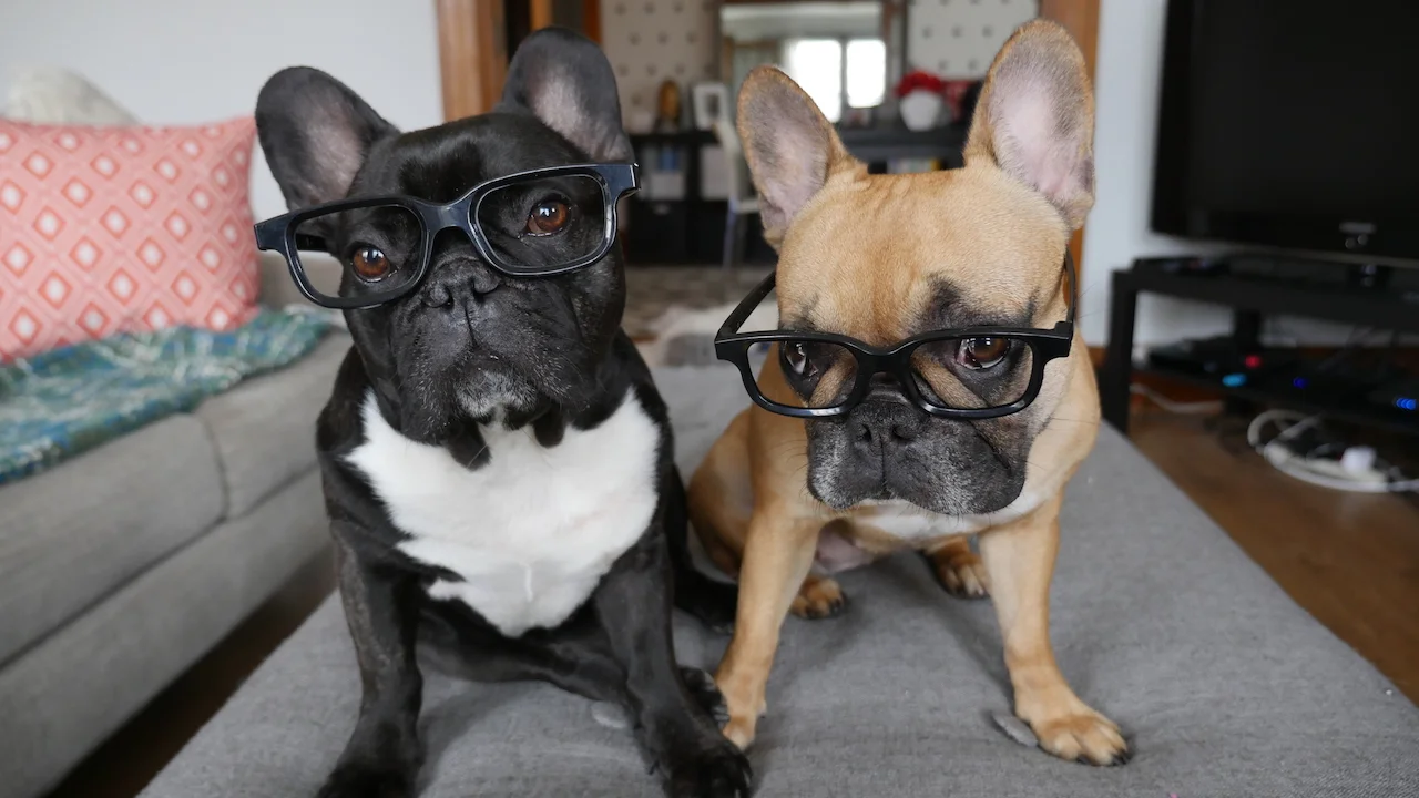 FRIDAY MORNINGTIMES.... PLUS SOMETHINGS FROM THE MAILINGBOX!! (11 photos)