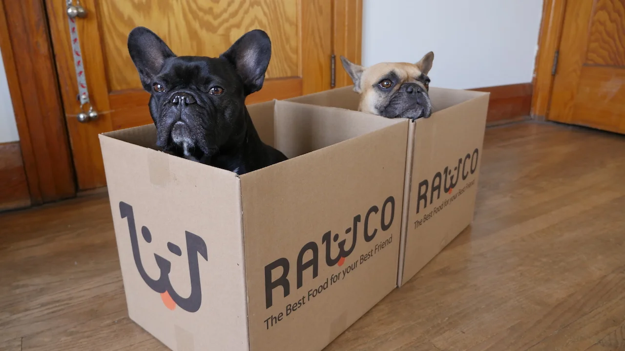 WEDNESDAY MORNINGTIMES... PLUS PLAYING IN SOME BOXALOPES!! (9 photos) 