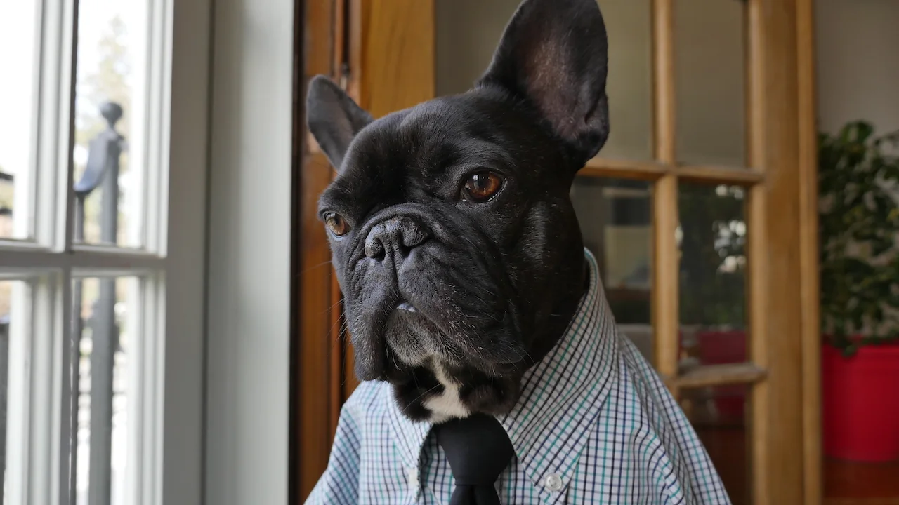 THURSDAY MORNINGTIMES... PLUS ME, DRESSING-UP FOR SUCCESSFULLNESS!! (11 photos) 