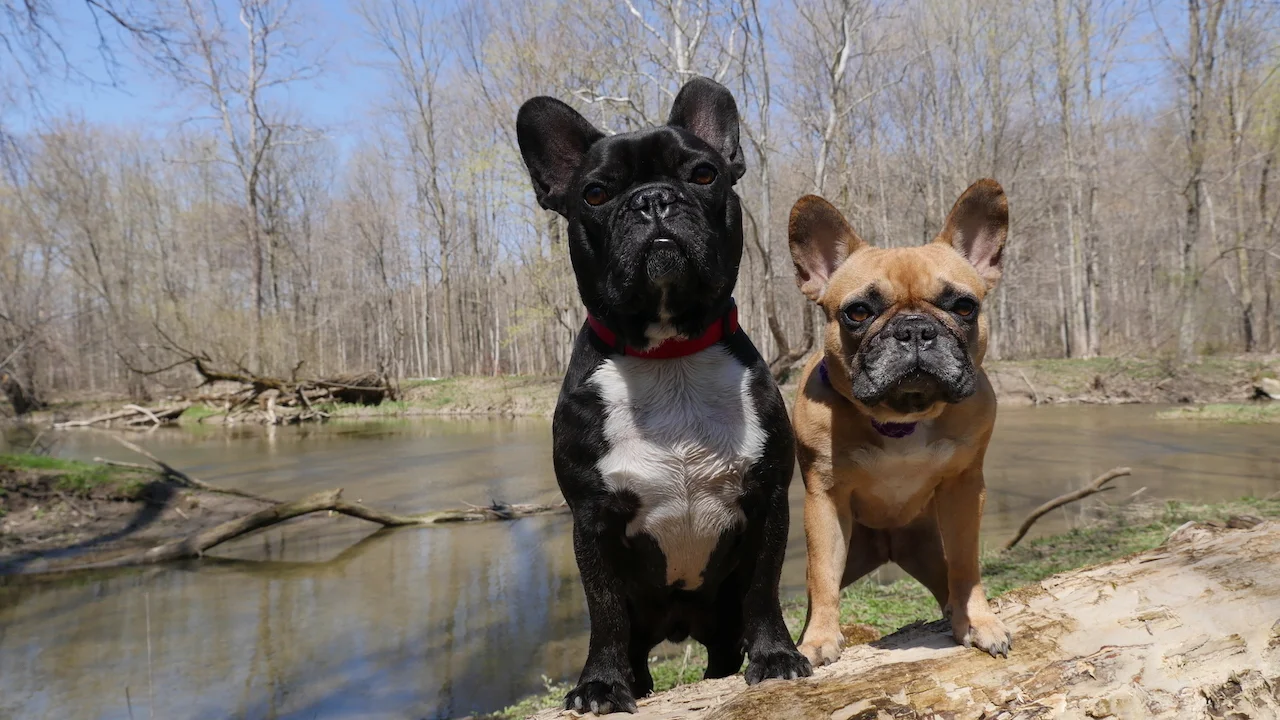 TUESDAY MORNINGTIMES... WITH THE NATUREMAMA!! (17 photos)