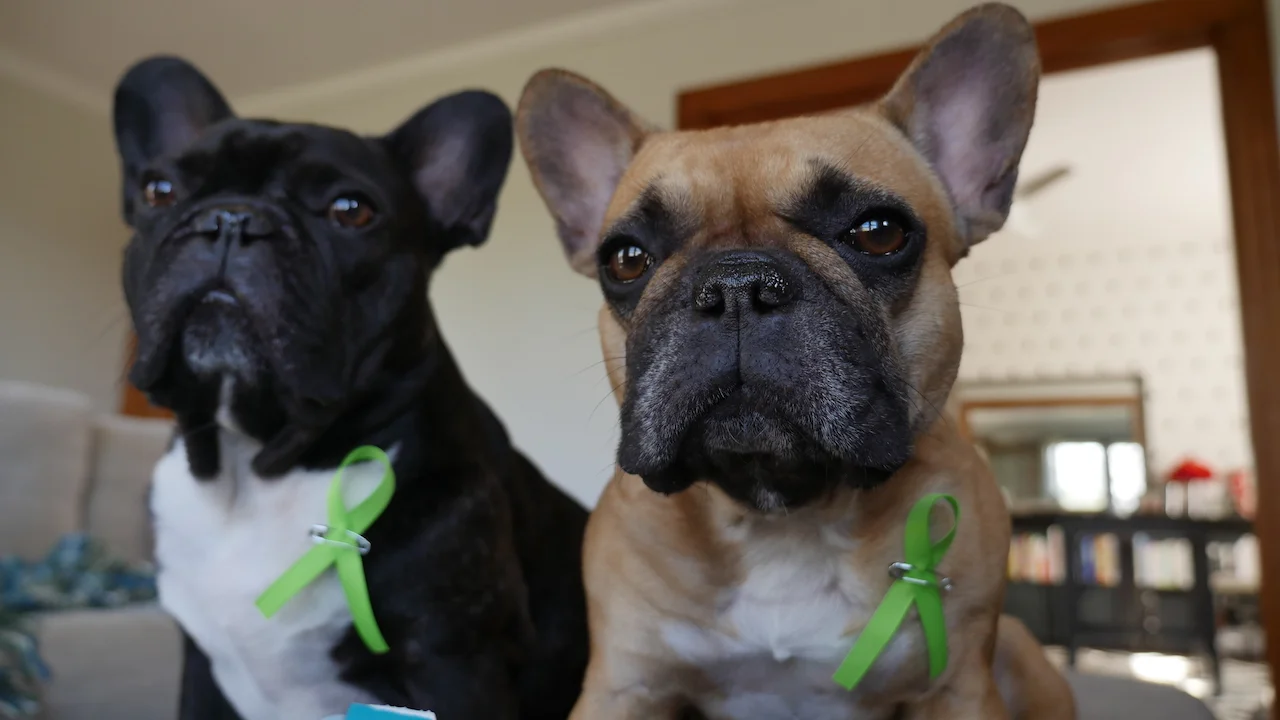 TUESDAY MORNINGTIMES... PLUS MENTAL HEALTH WEEK!! (18 photos)