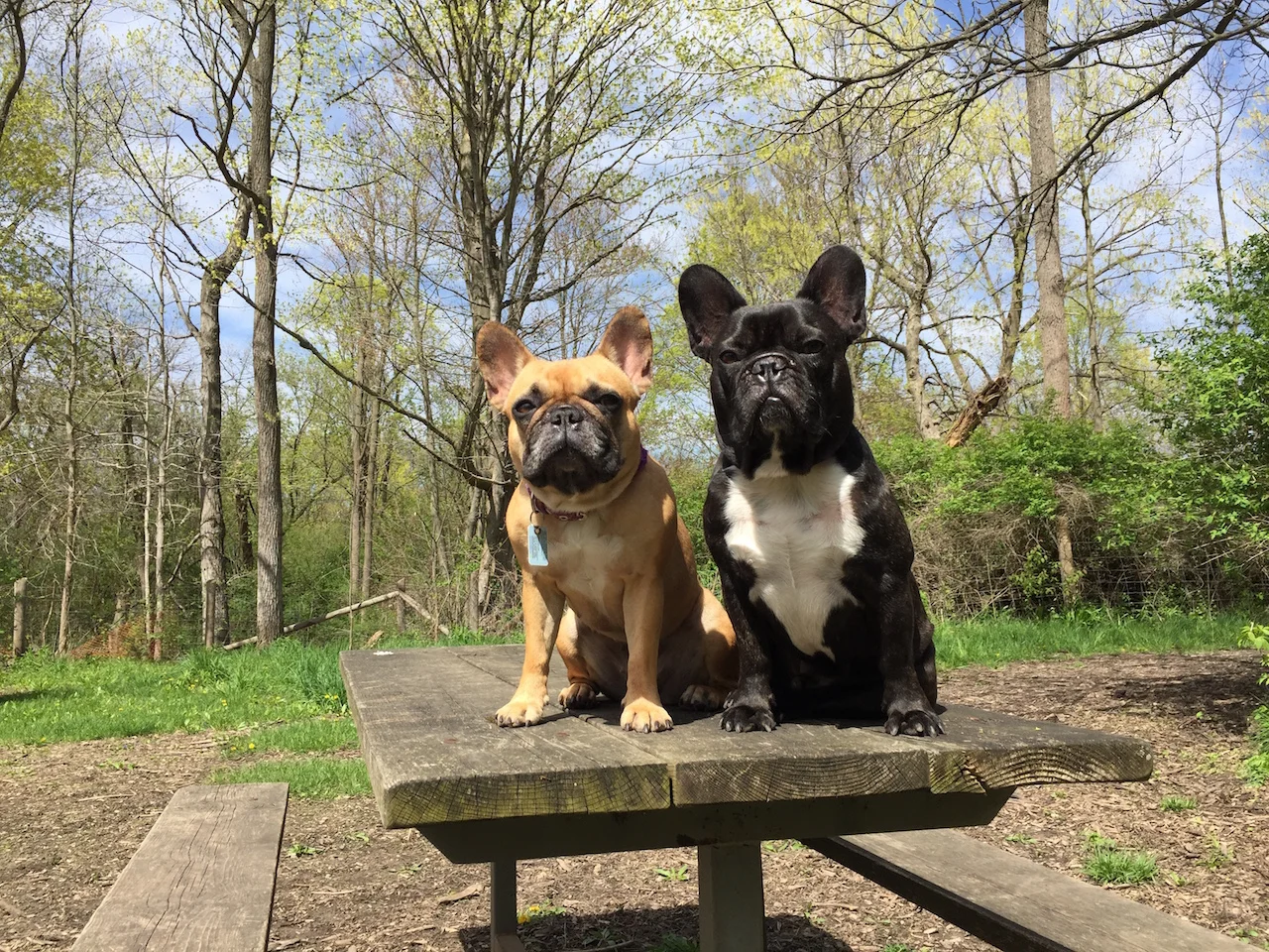 THURSDAY MORNINGTIMES...IN THE ST. THOMASPLACE!! (8 photos) 