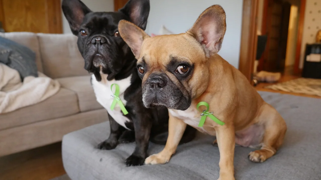 FRIDAY MORNINGTIMES... PLUS TAKING CARE OF OUR MENTAL HEALTHINESS!! (11 photos) 