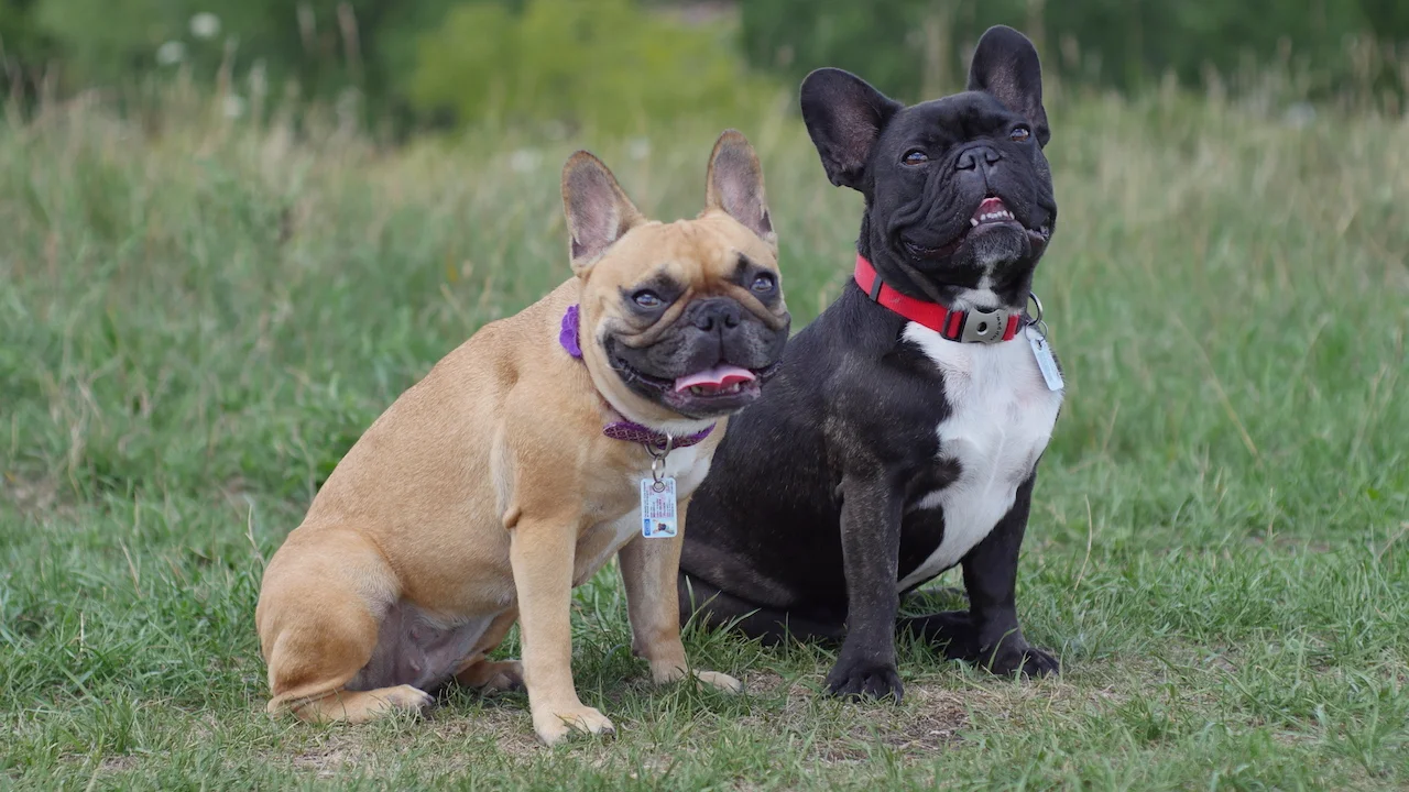 FRIDAY MORNINGTIMES... PLUS THINKINGTHOUGHTS 'BOUT THE WEEKENDTIMES!! (15 photos) 