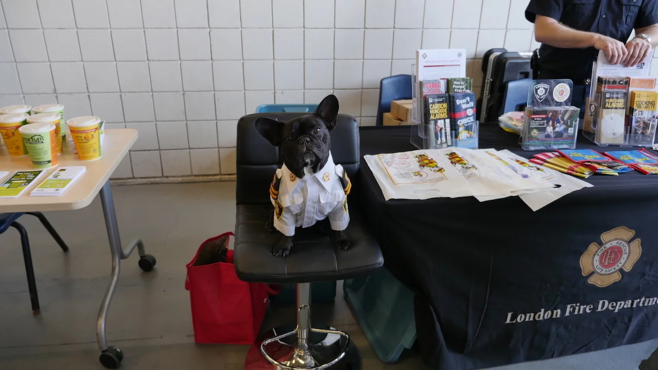 TUESDAY MORNINGTIMES... PLUS ME IN MY DRESS UNIFORM!! (11 photos + 2 galleries) 