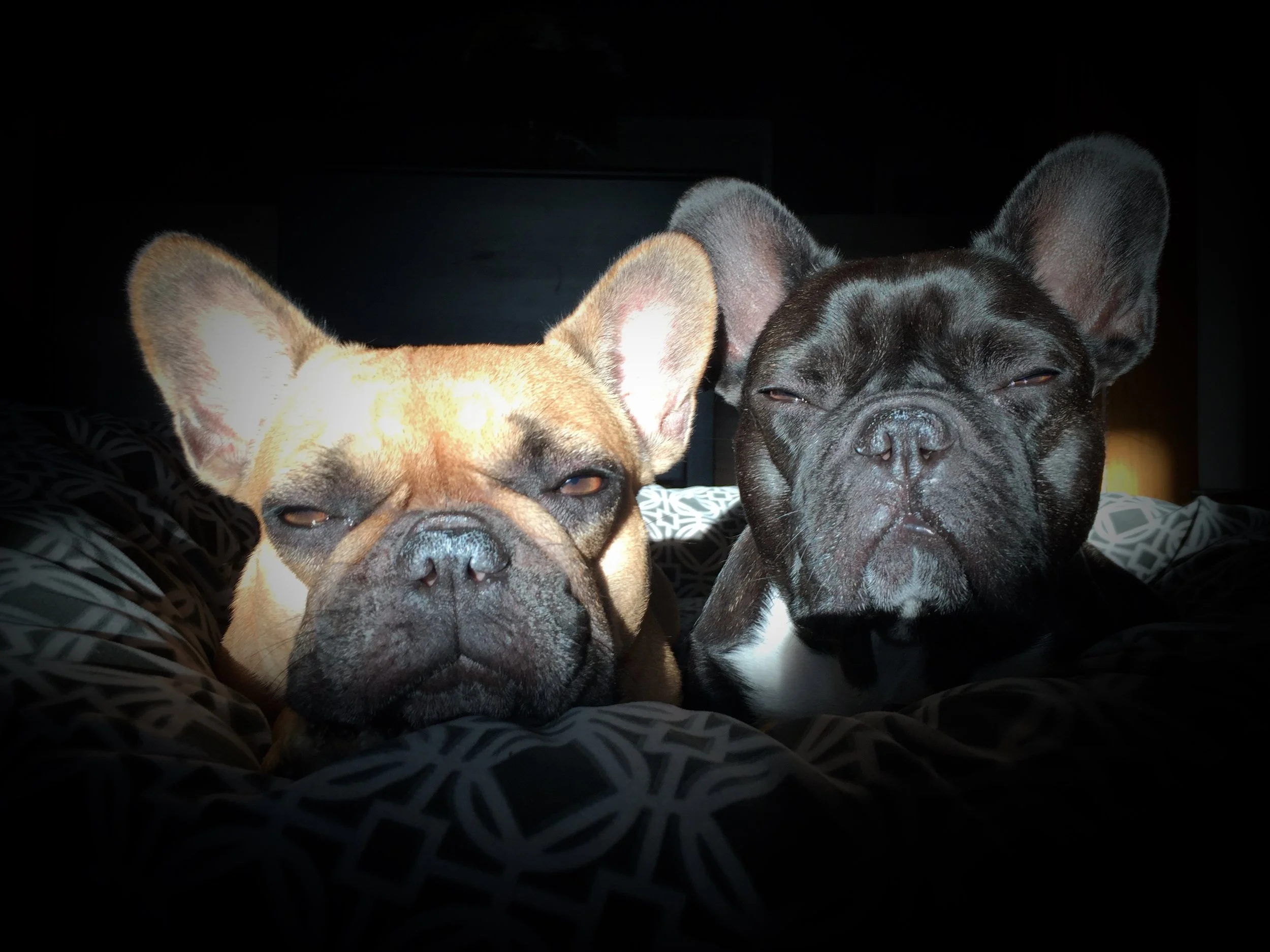 TUESDAY NIGHTYNIGHTIMES.... PLUS FULL-UP WITH HAPPY!! (4 photos) 