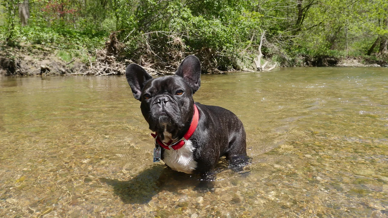 WEDNESDAY MORNINGTIMES.... DOOP DEE DOOPING IN THE WILDERWILD!! (30 photos) 