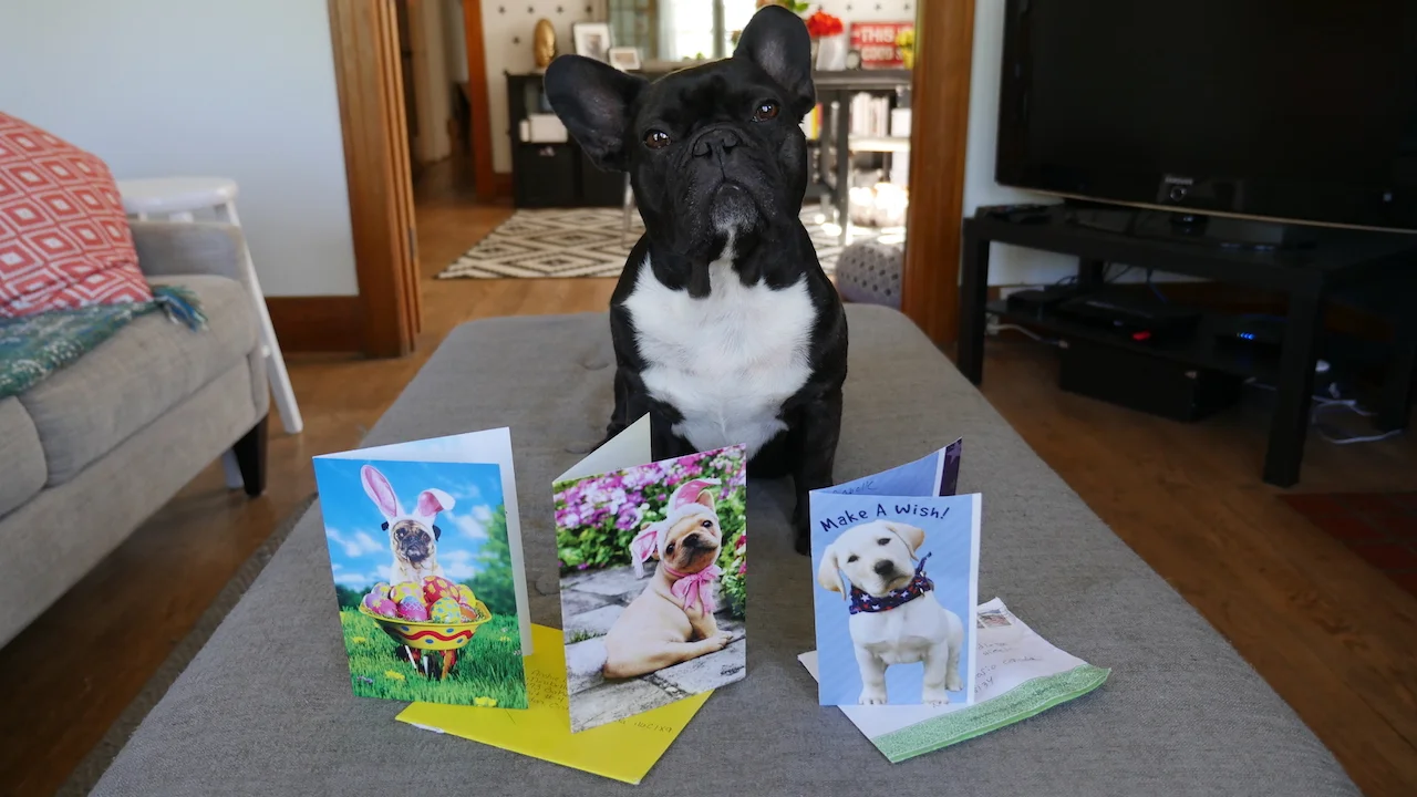 THURSDAY MORNINGTIMES... PLUS LONG, LOST LETTERLOPES IN OUR MAILINGBOX!! (10 photos) 