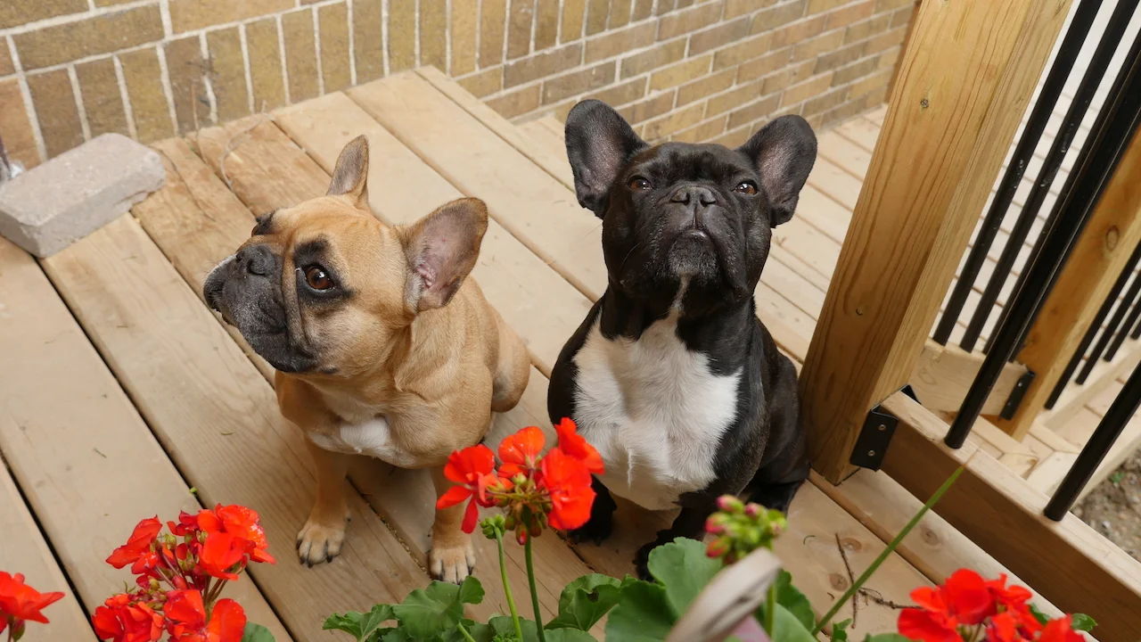 HAPPYMERRYWEEKENDTIMES, EVERYBUDDY!! (1 photo) 