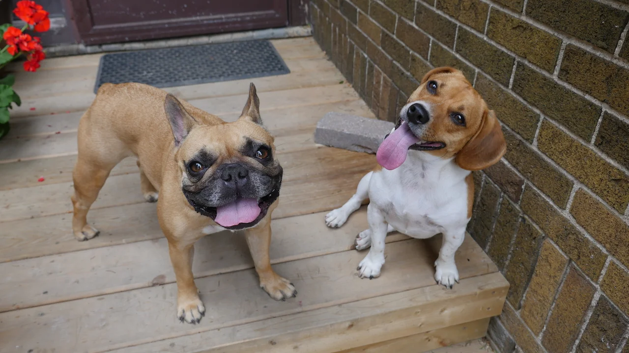 WEDNESDAY NIGHTYNIGHTIMES... PLUS A SNEAKYPEEK OF MIRABELLY'S SHINYNEW FRIENDLYBOY!! (7 photos) 