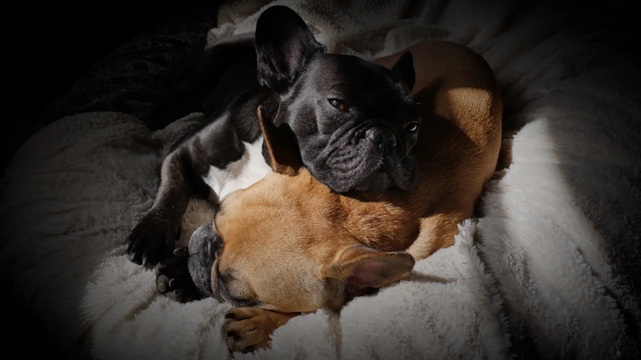 WEDNESDAY NIGHTYNIGHTIMES... SOOPERQUICK!! (1 photo) 